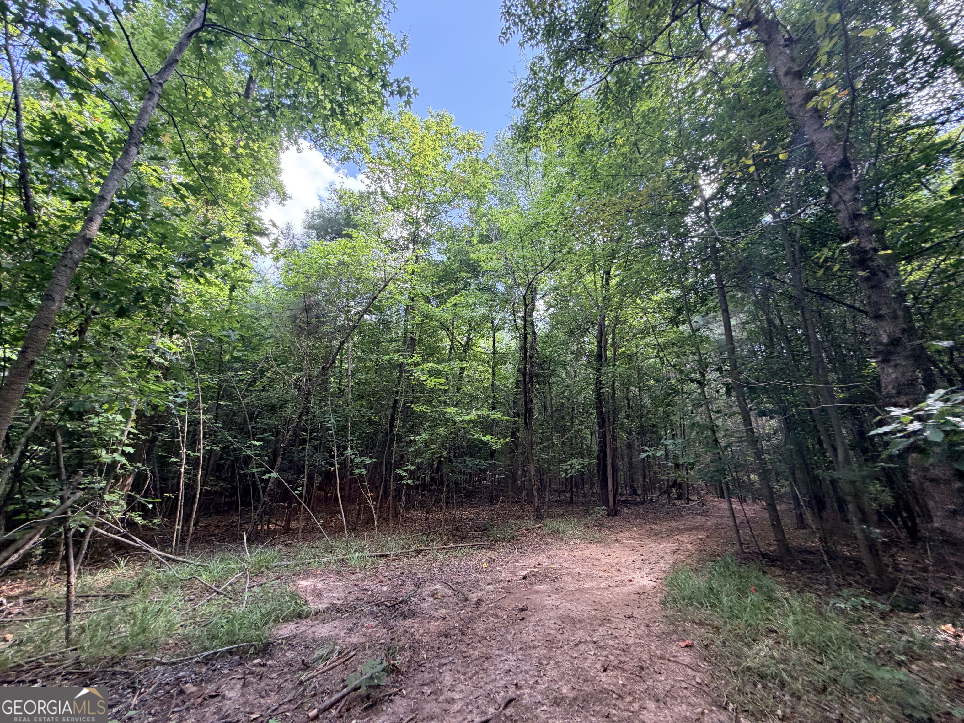 8 Bunch Road Property Photo 16