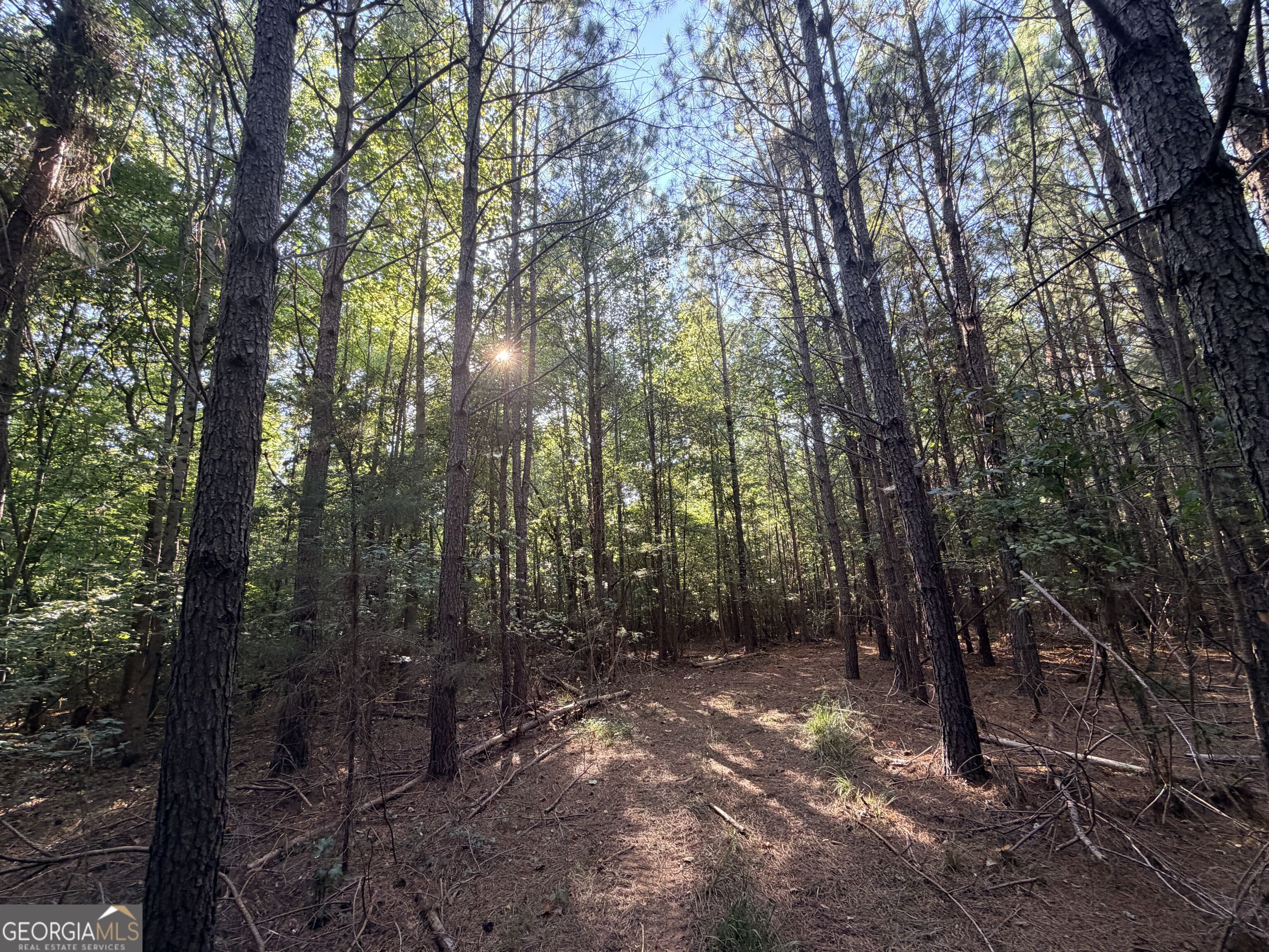 8 Bunch Road Property Photo 17