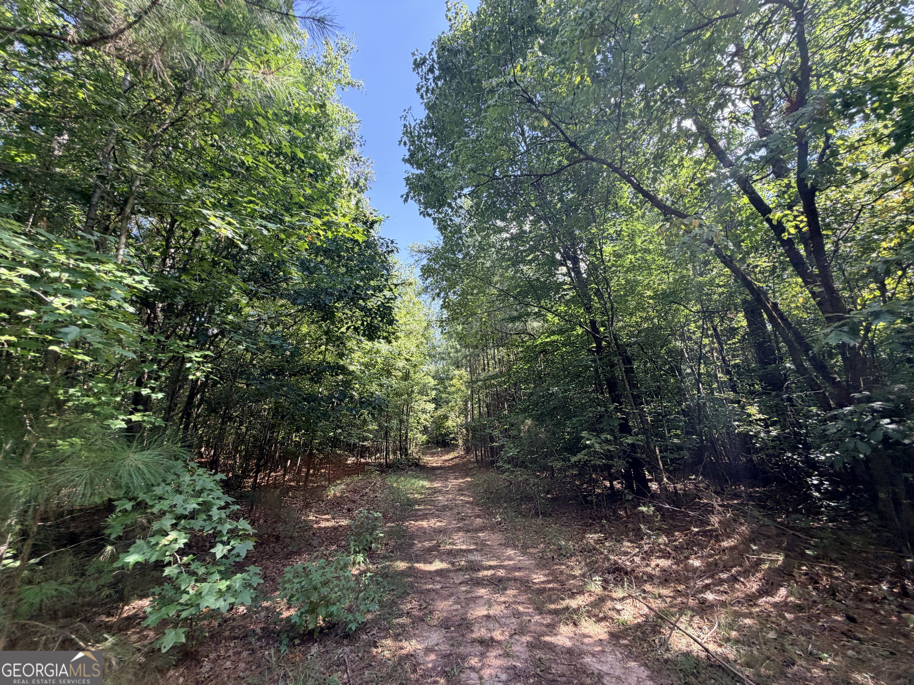 8 Bunch Road Property Photo 18