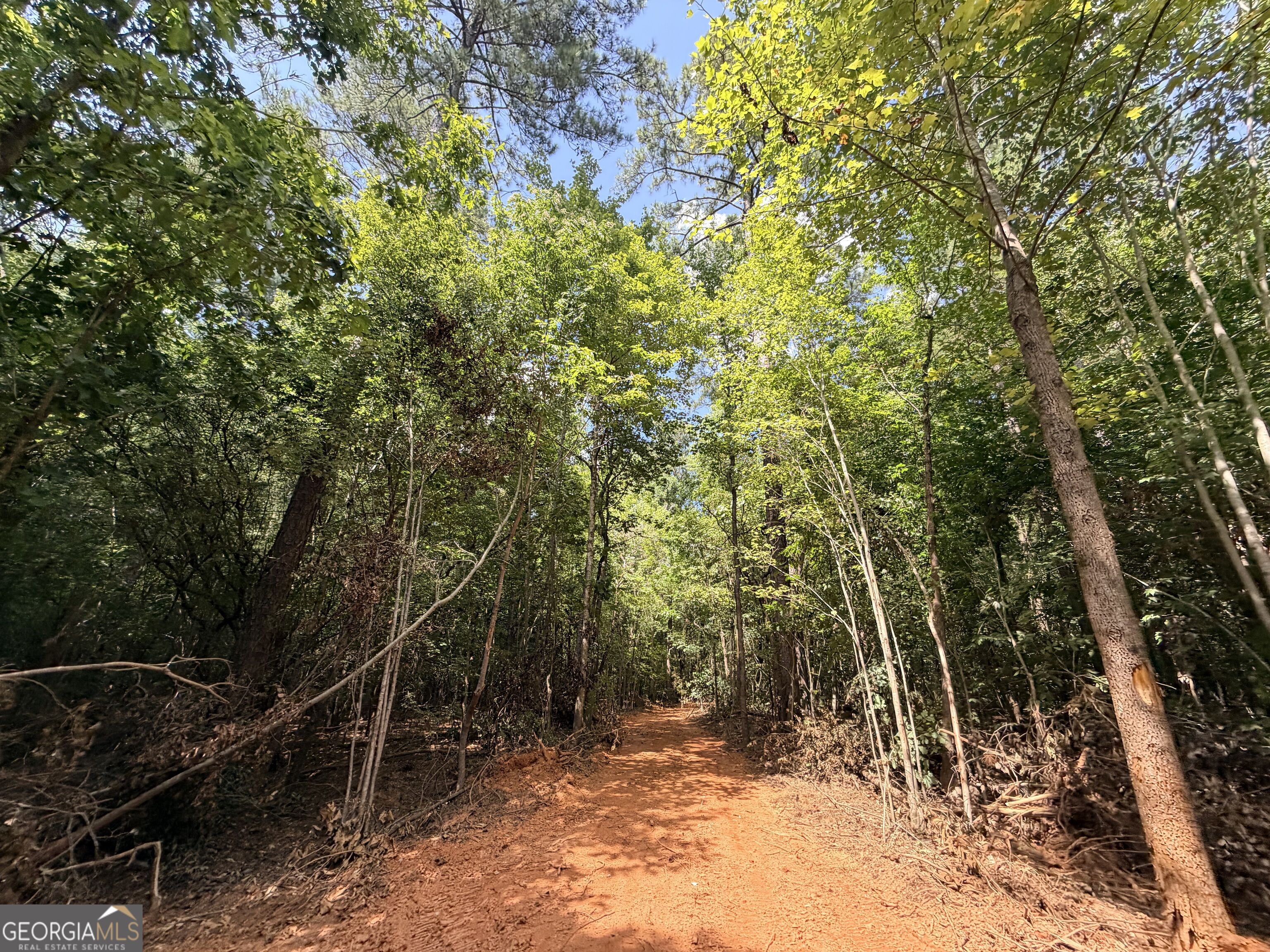 8 Bunch Road Property Photo 19