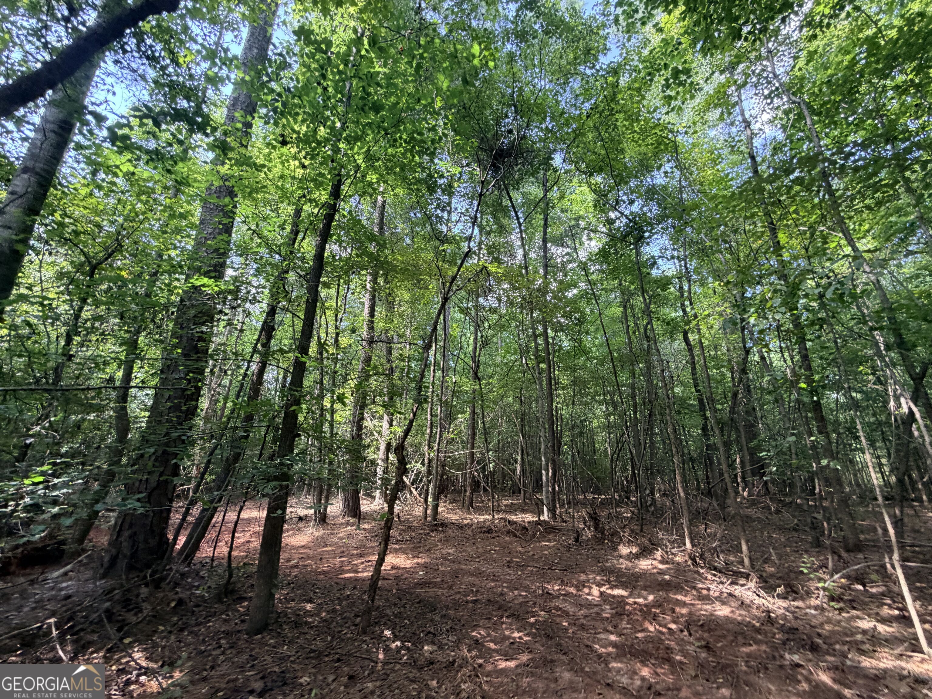 8 Bunch Road Property Photo 21