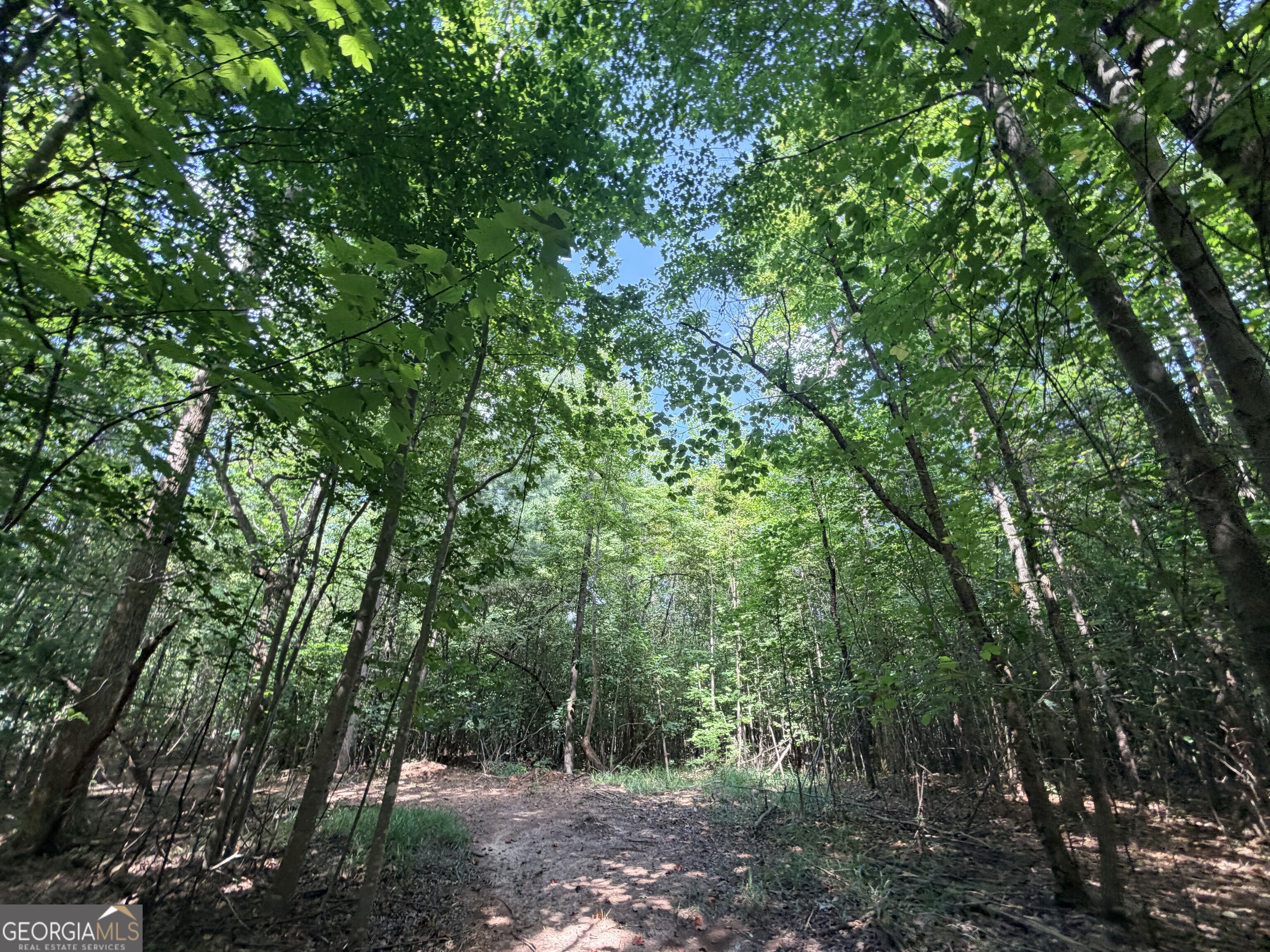 8 Bunch Road Property Photo 25