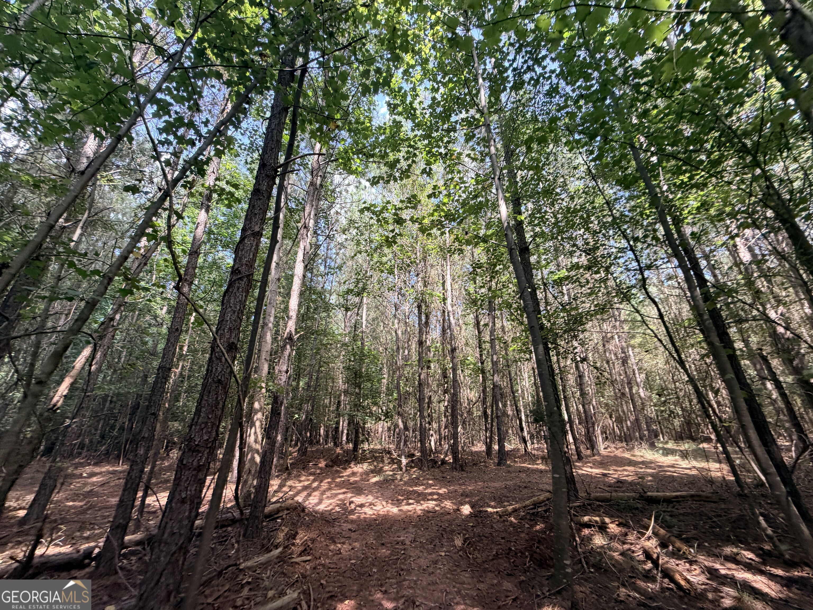 8 Bunch Road Property Photo 27