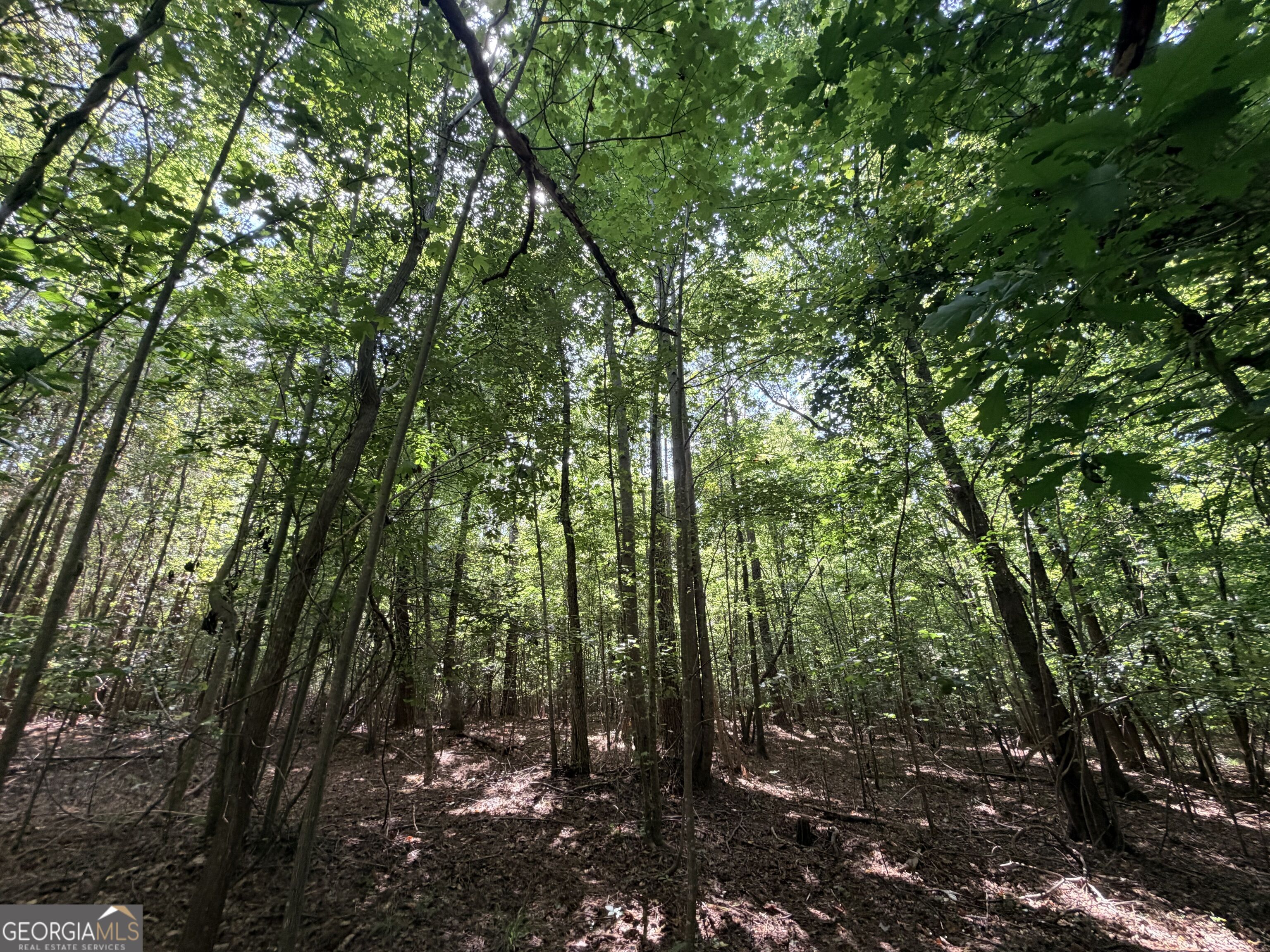 8 Bunch Road Property Photo 28