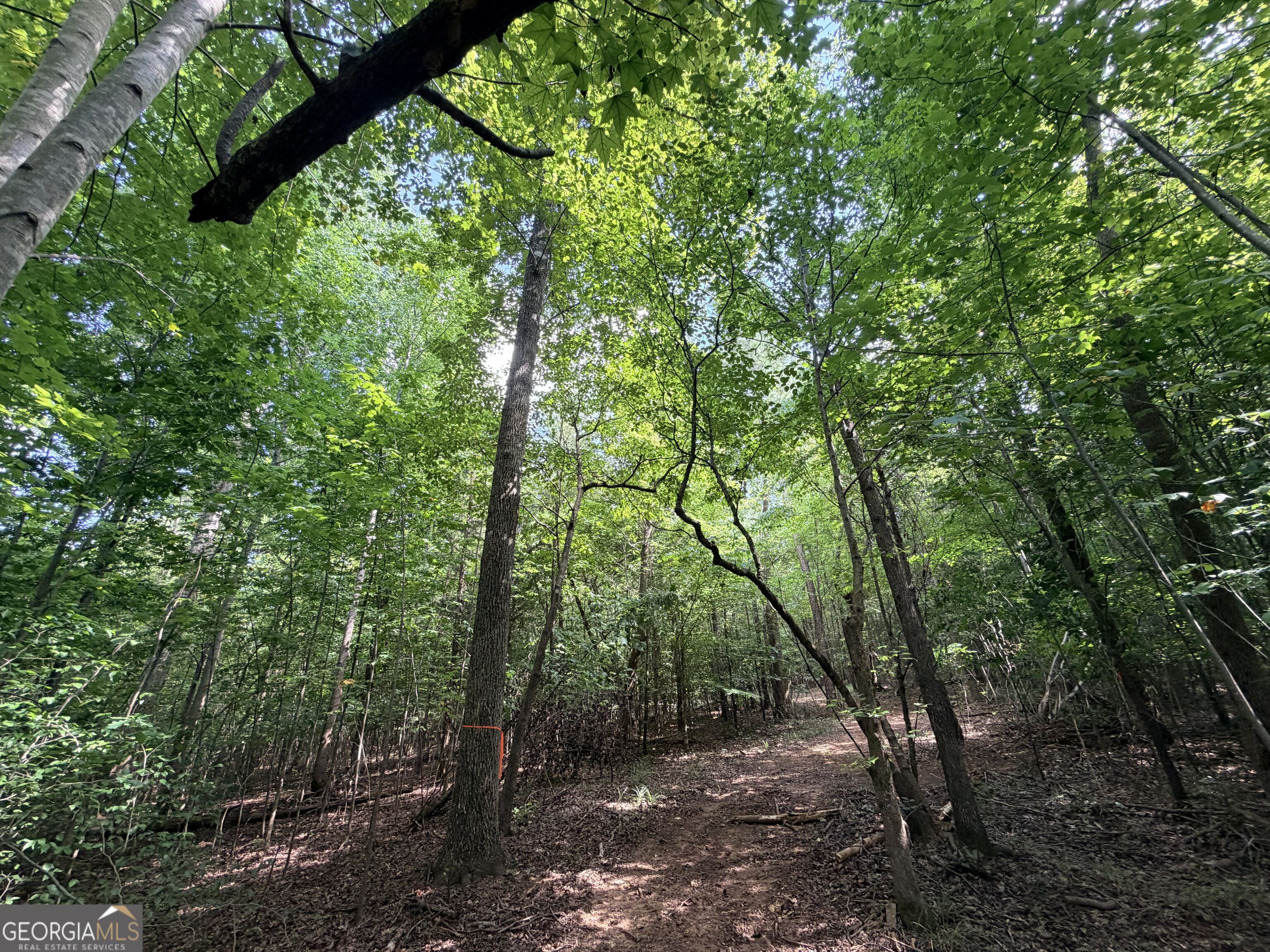 8 Bunch Road Property Photo 29