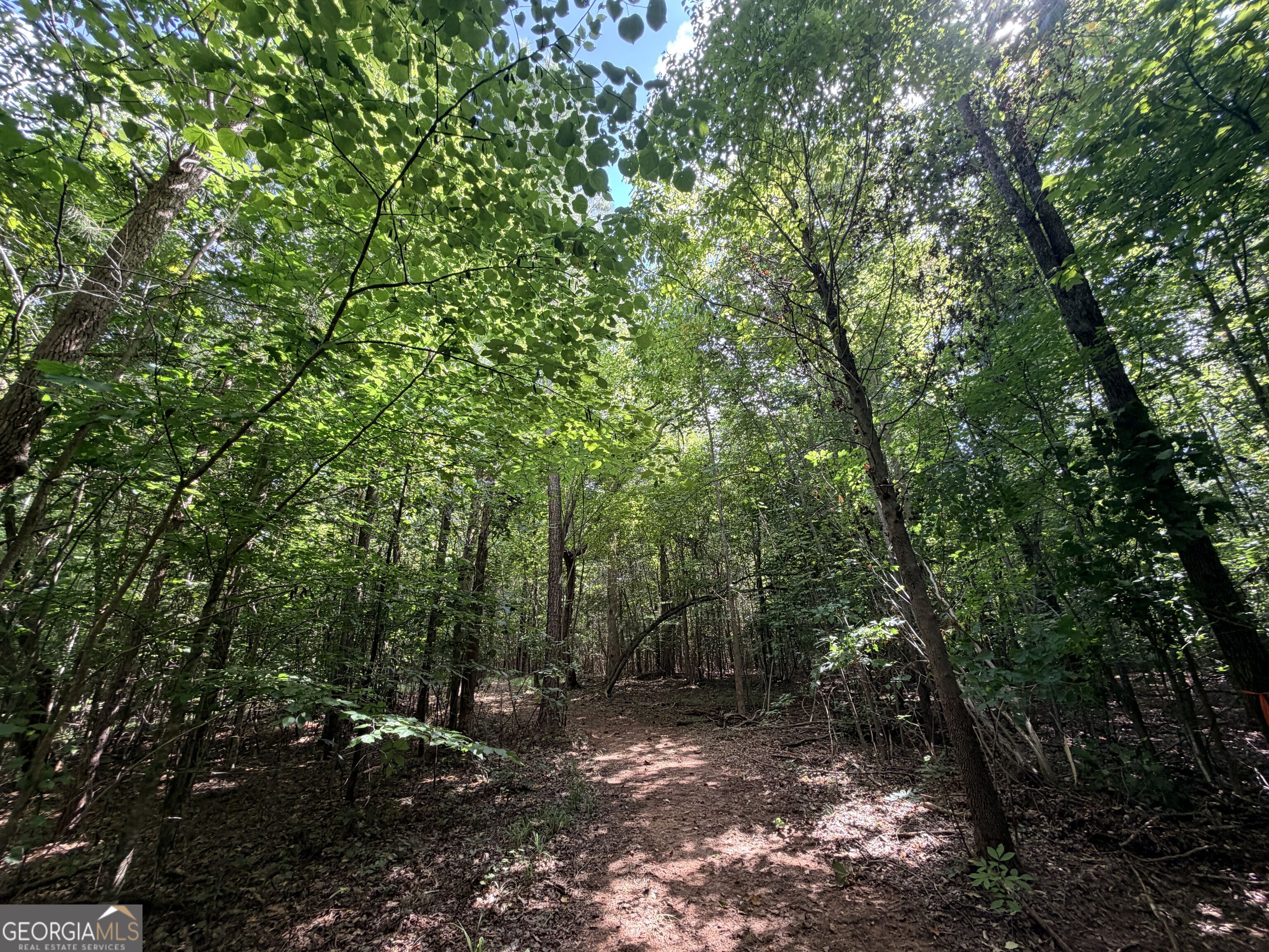 8 Bunch Road Property Photo 30
