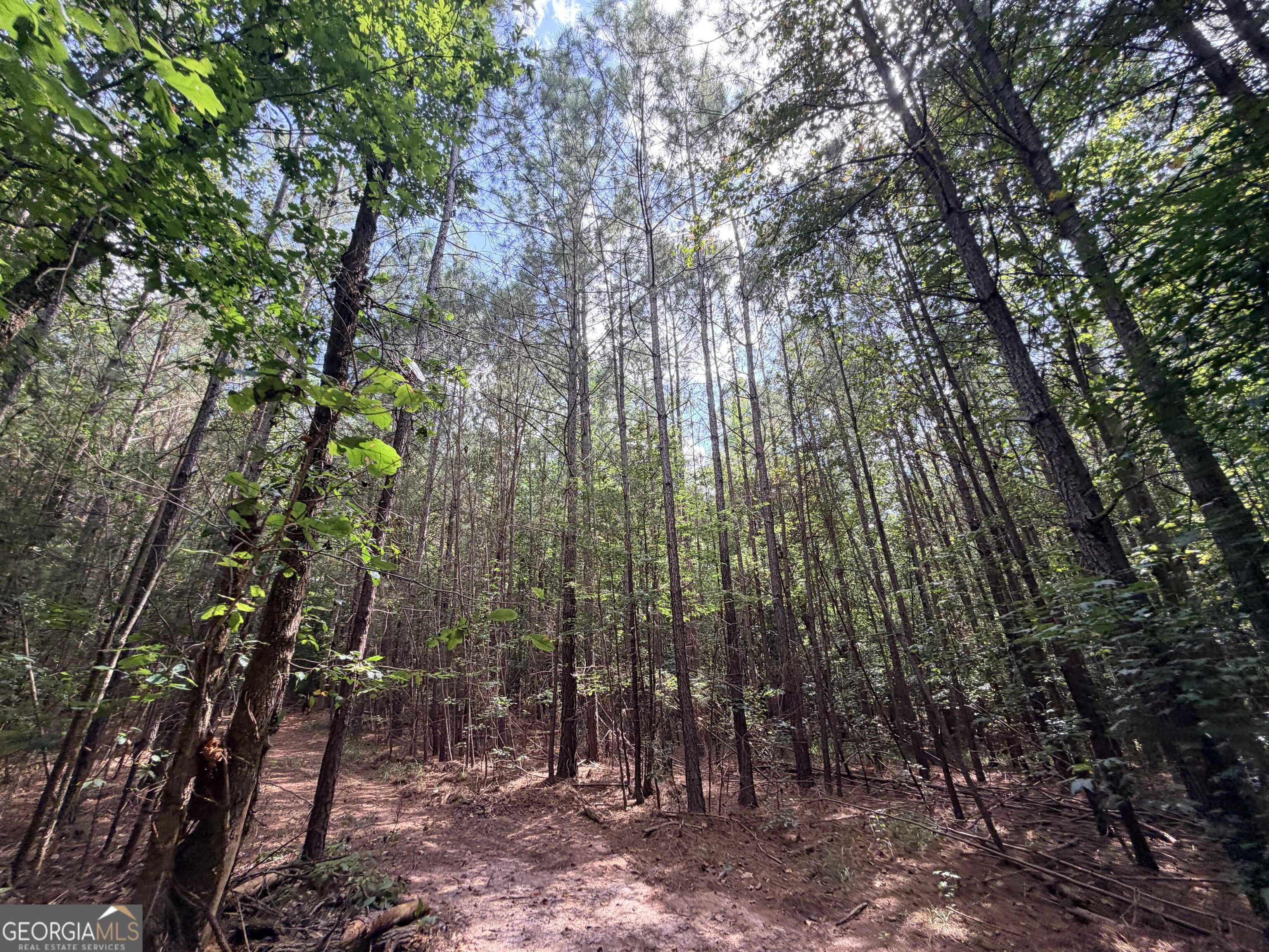 8 Bunch Road Property Photo 31