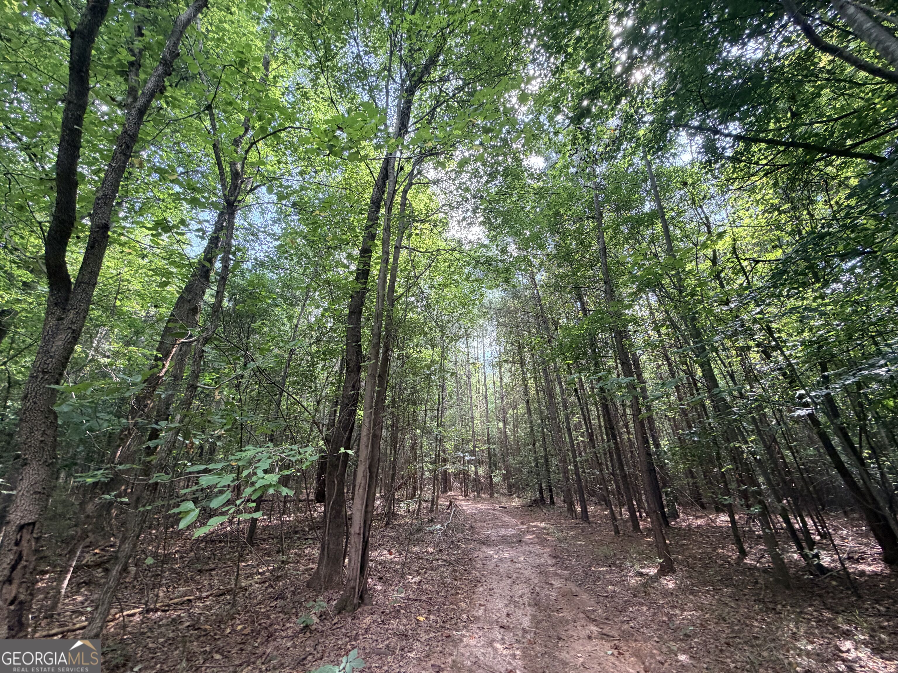 8 Bunch Road Property Photo 32