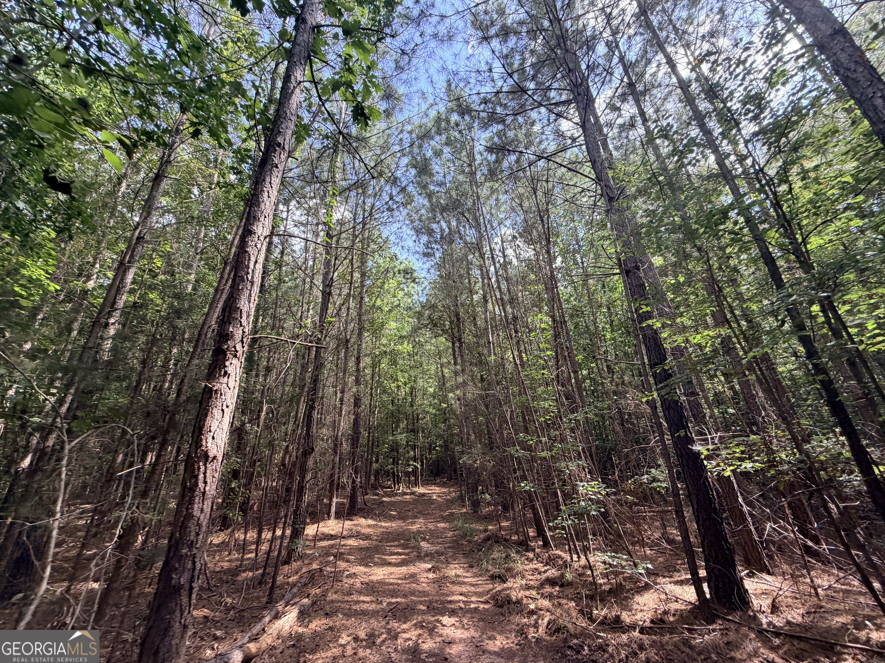 8 Bunch Road Property Photo 33