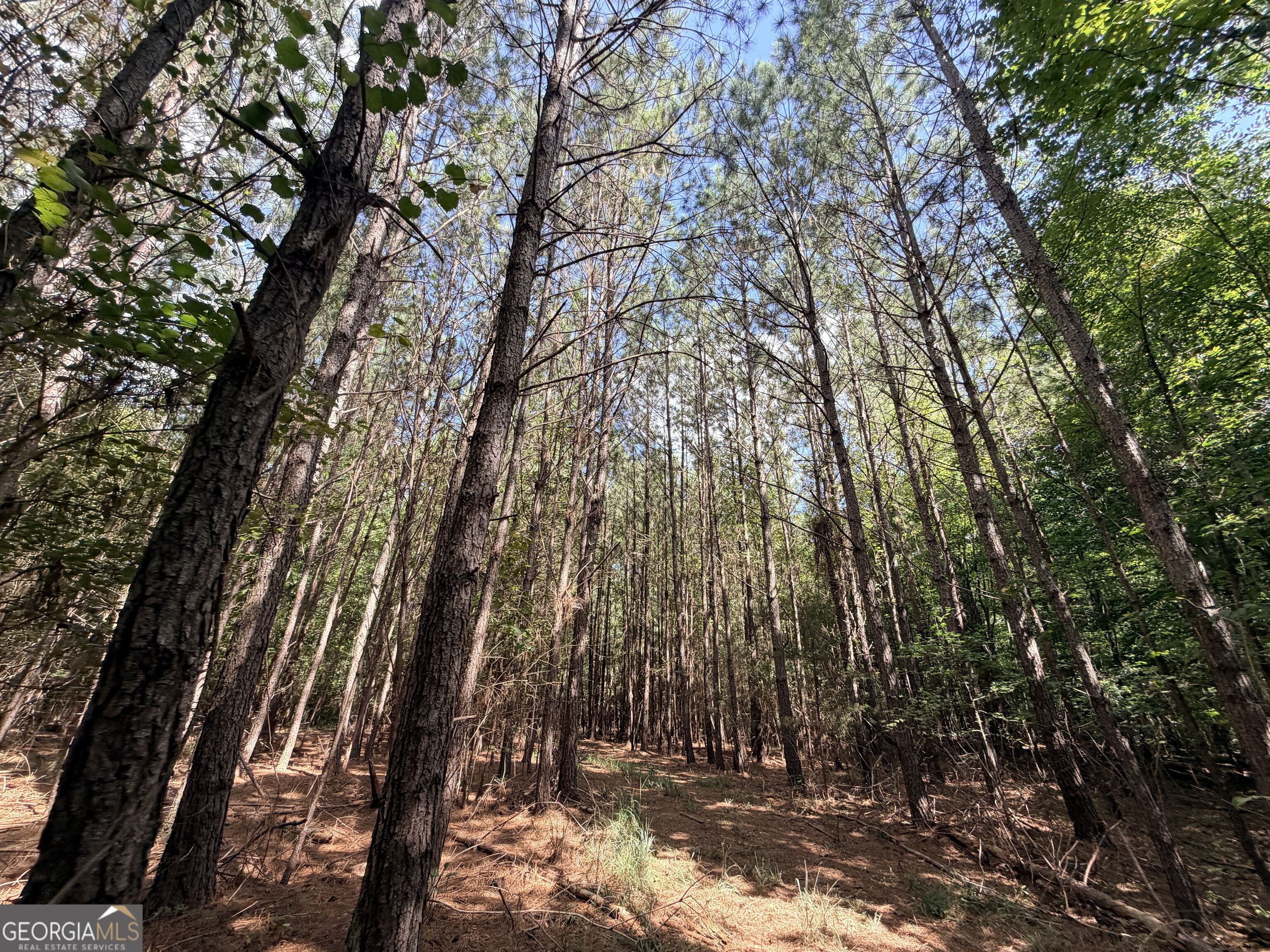 8 Bunch Road Property Photo 34