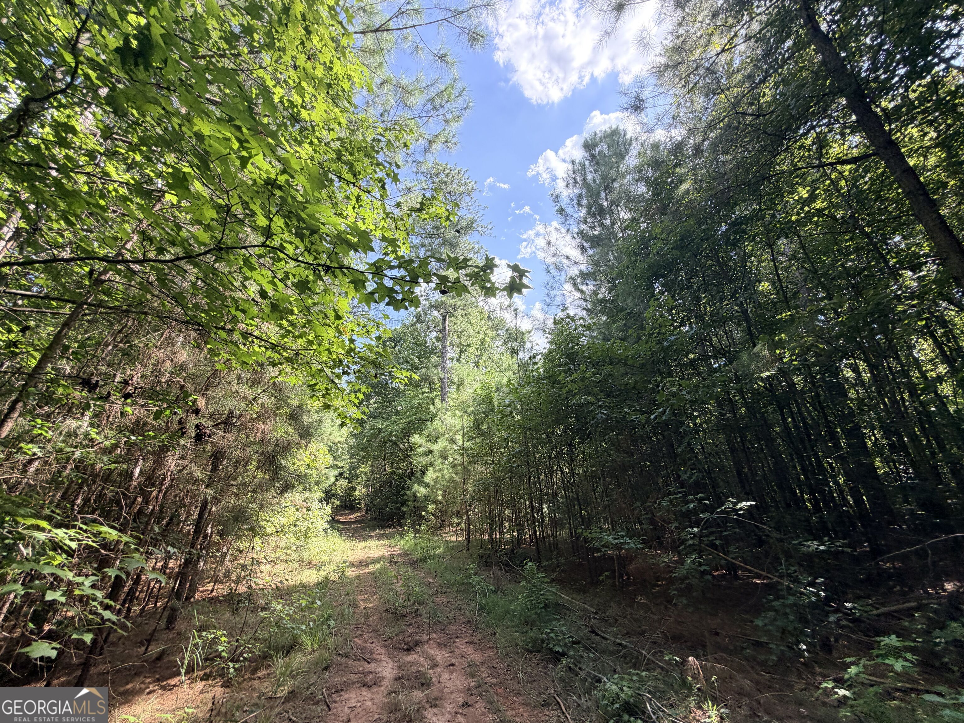 8 Bunch Road Property Photo 35