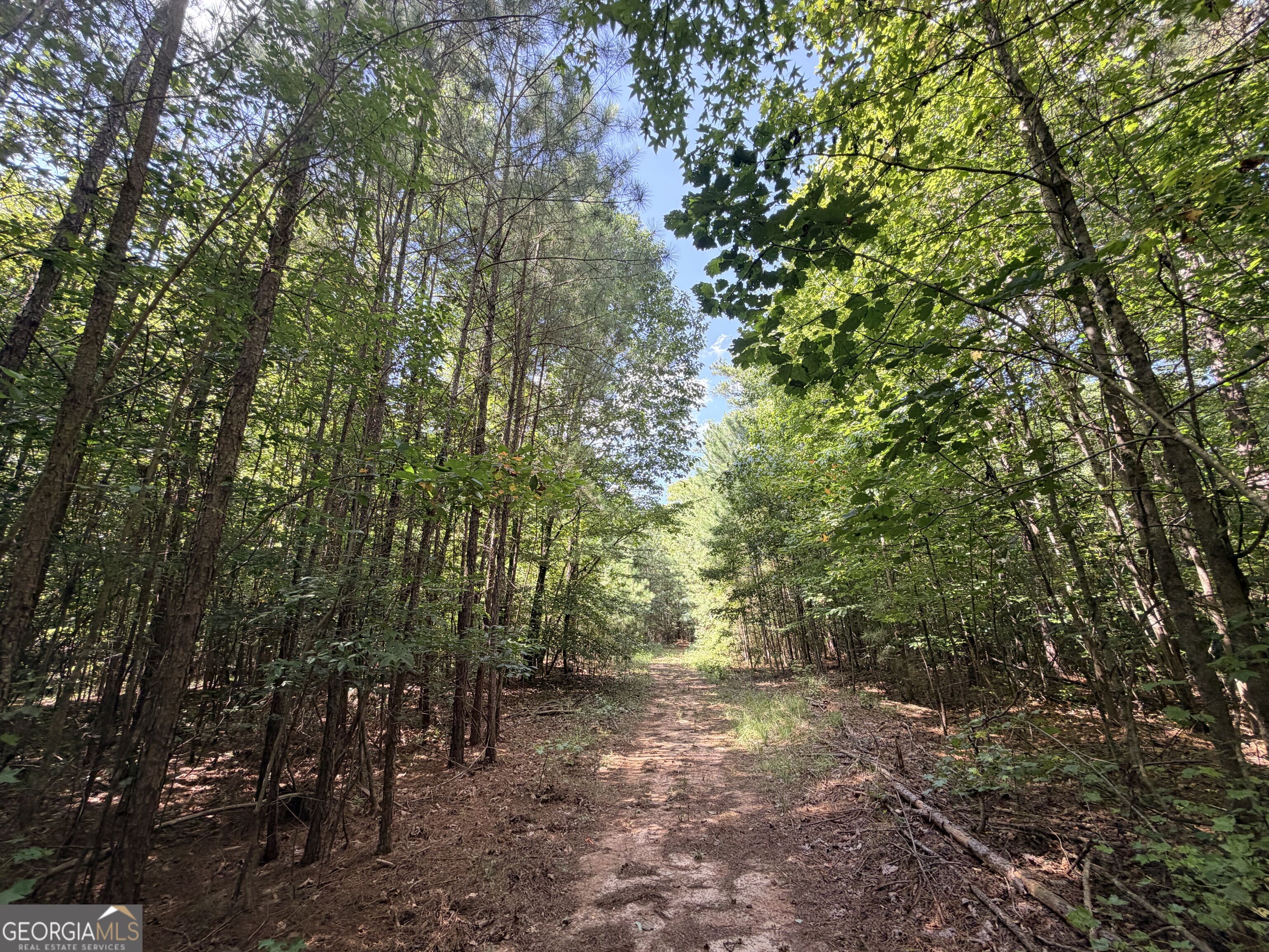 8 Bunch Road Property Photo 36