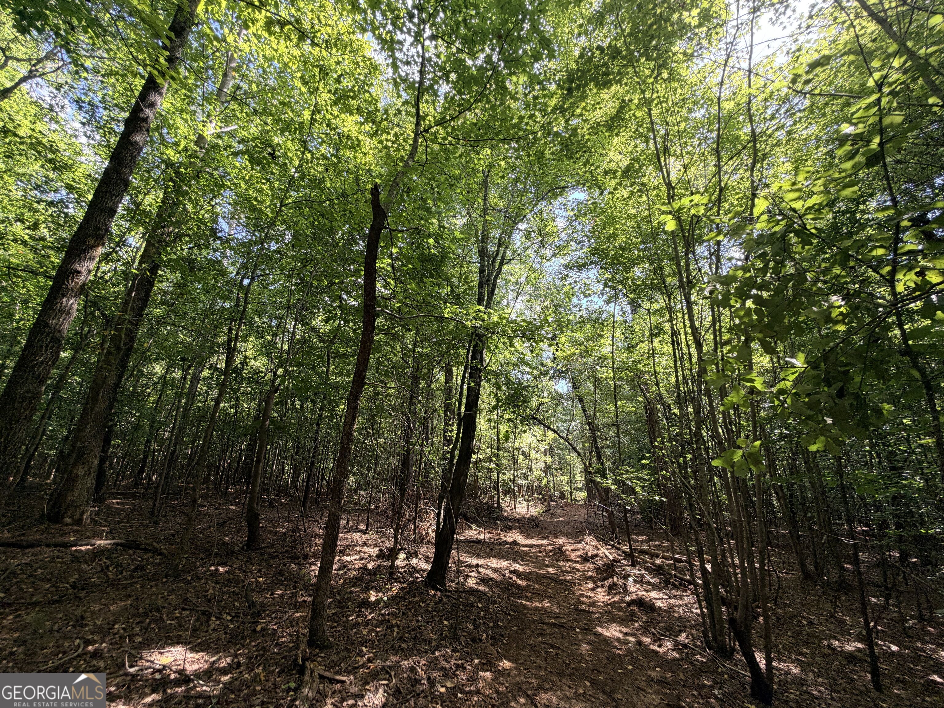 8 Bunch Road Property Photo 37