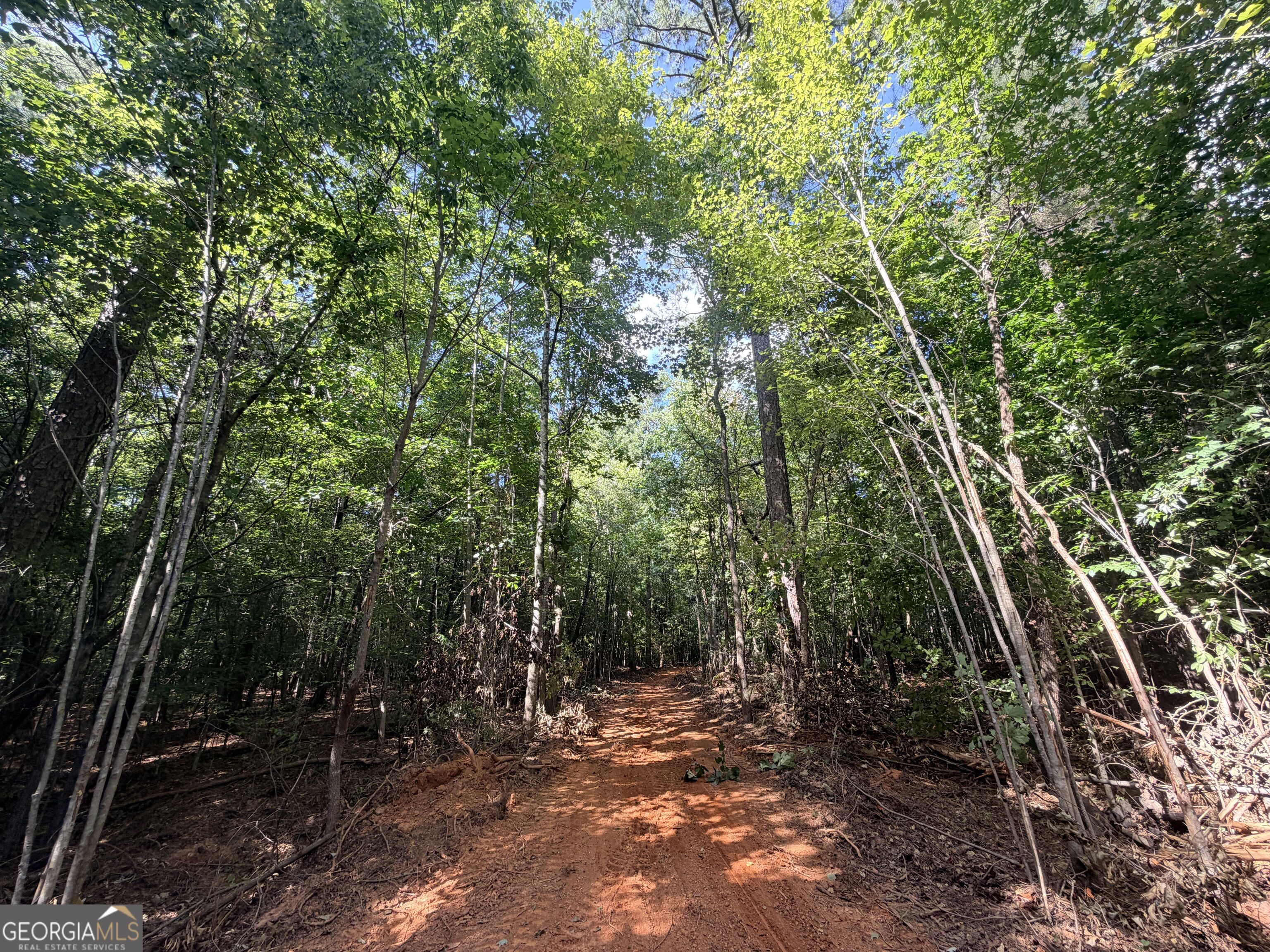 8 Bunch Road Property Photo 39