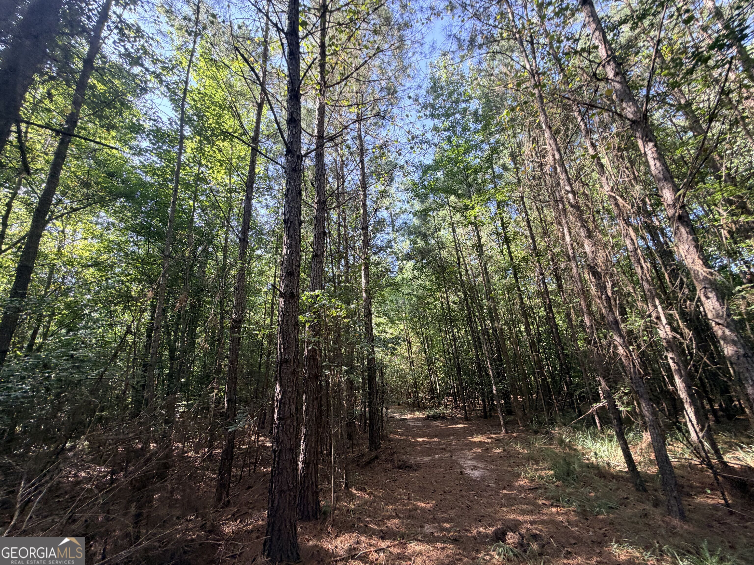 8 Bunch Road Property Photo 40
