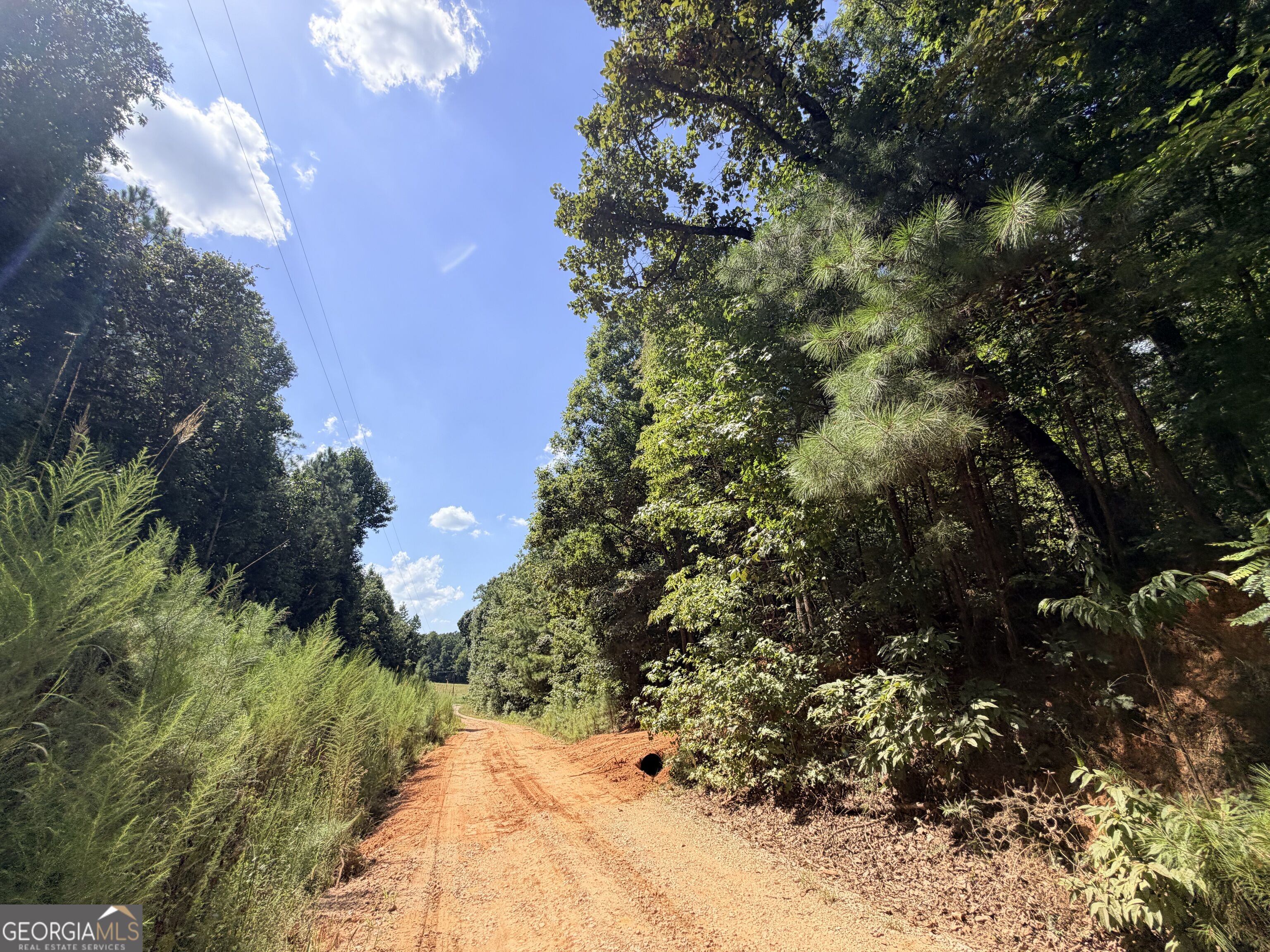 8 Bunch Road Property Photo 43