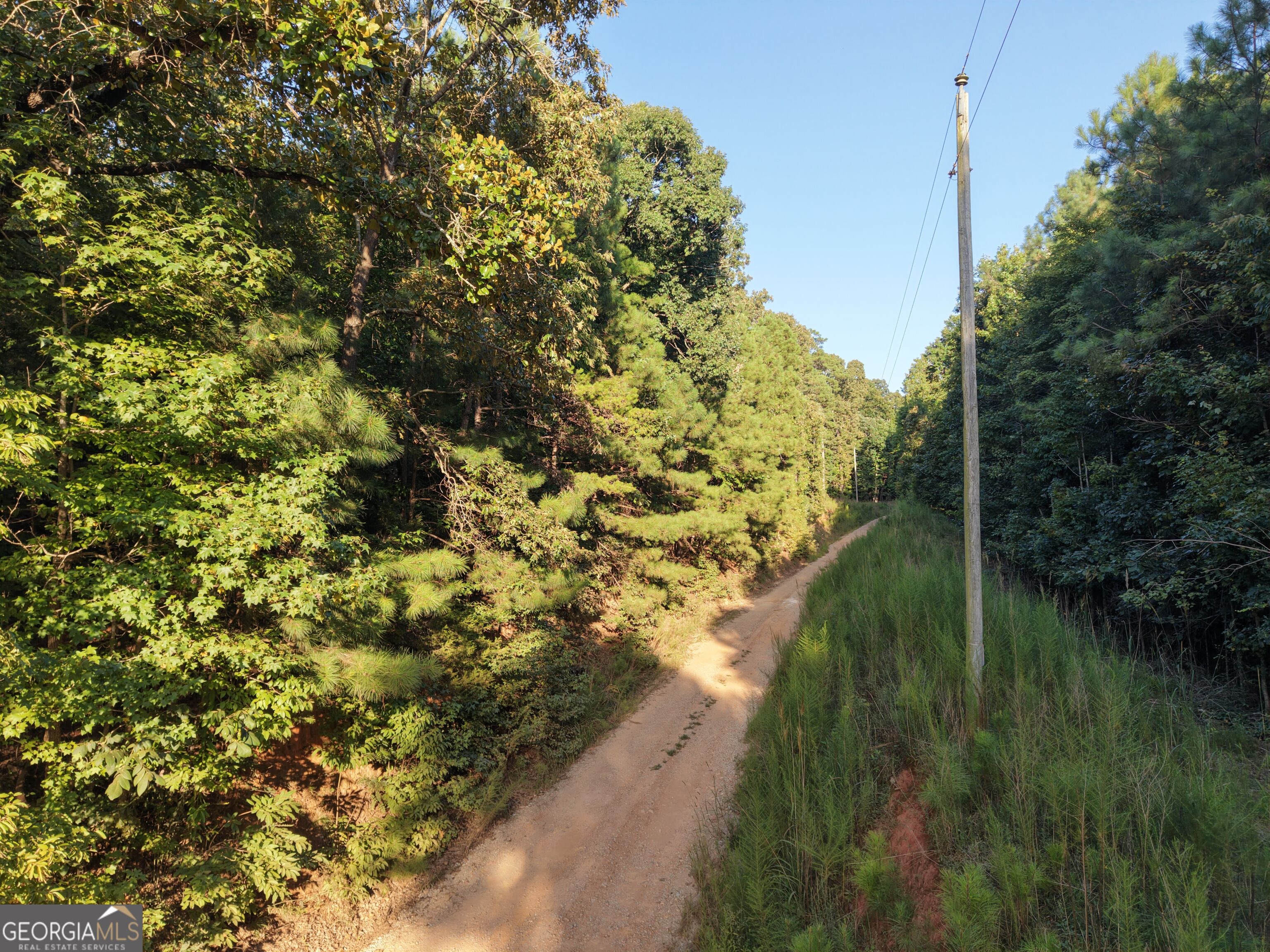 8 Bunch Road Property Photo 44