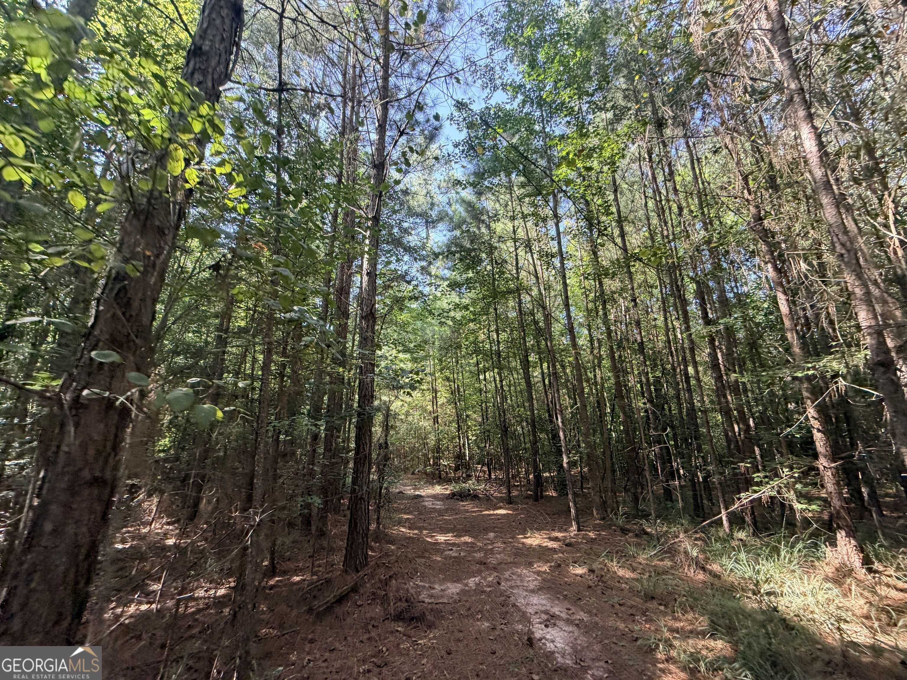 8 Bunch Road Property Photo 47