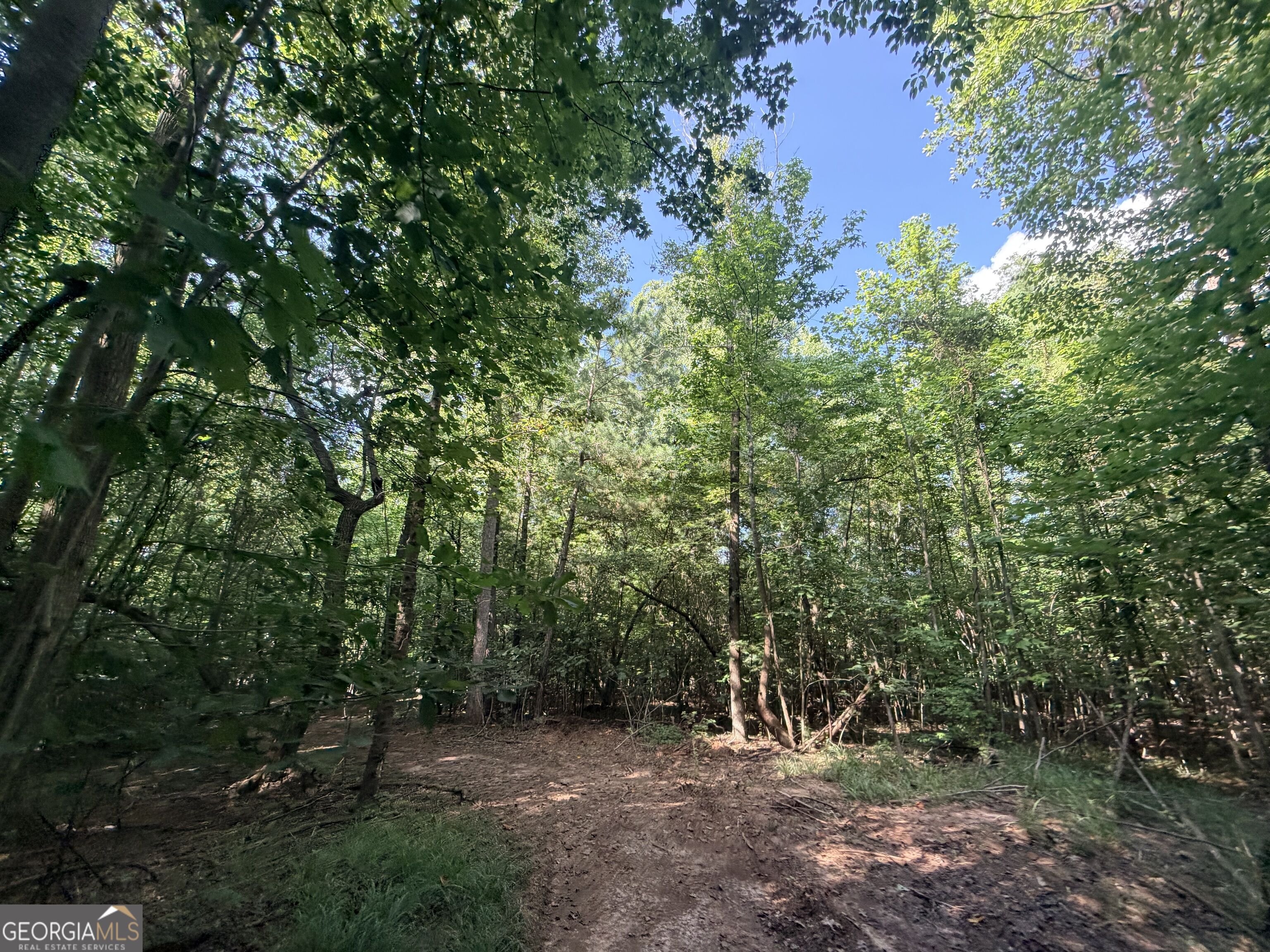 8 Bunch Road Property Photo 50