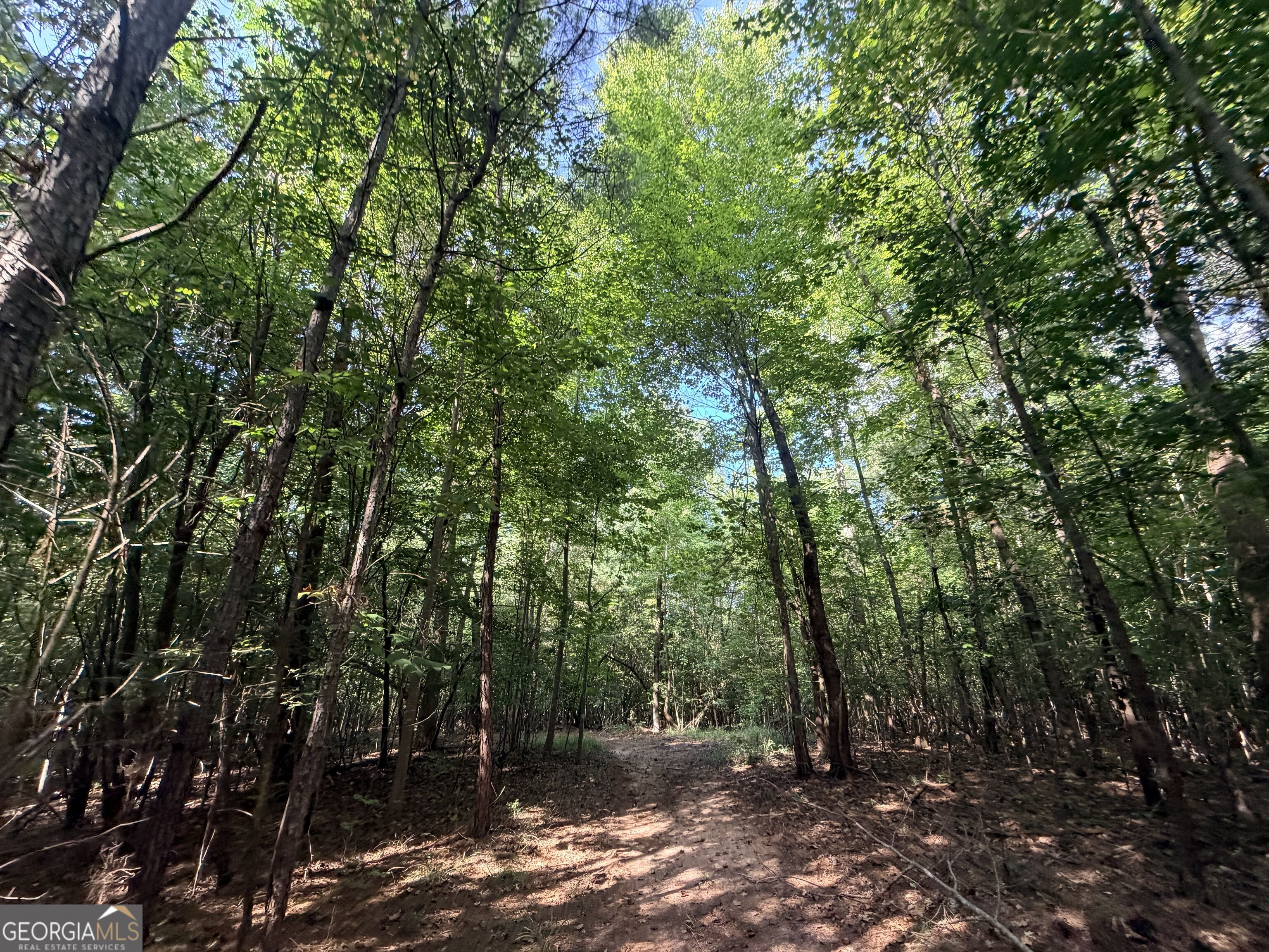 8 Bunch Road Property Photo 51