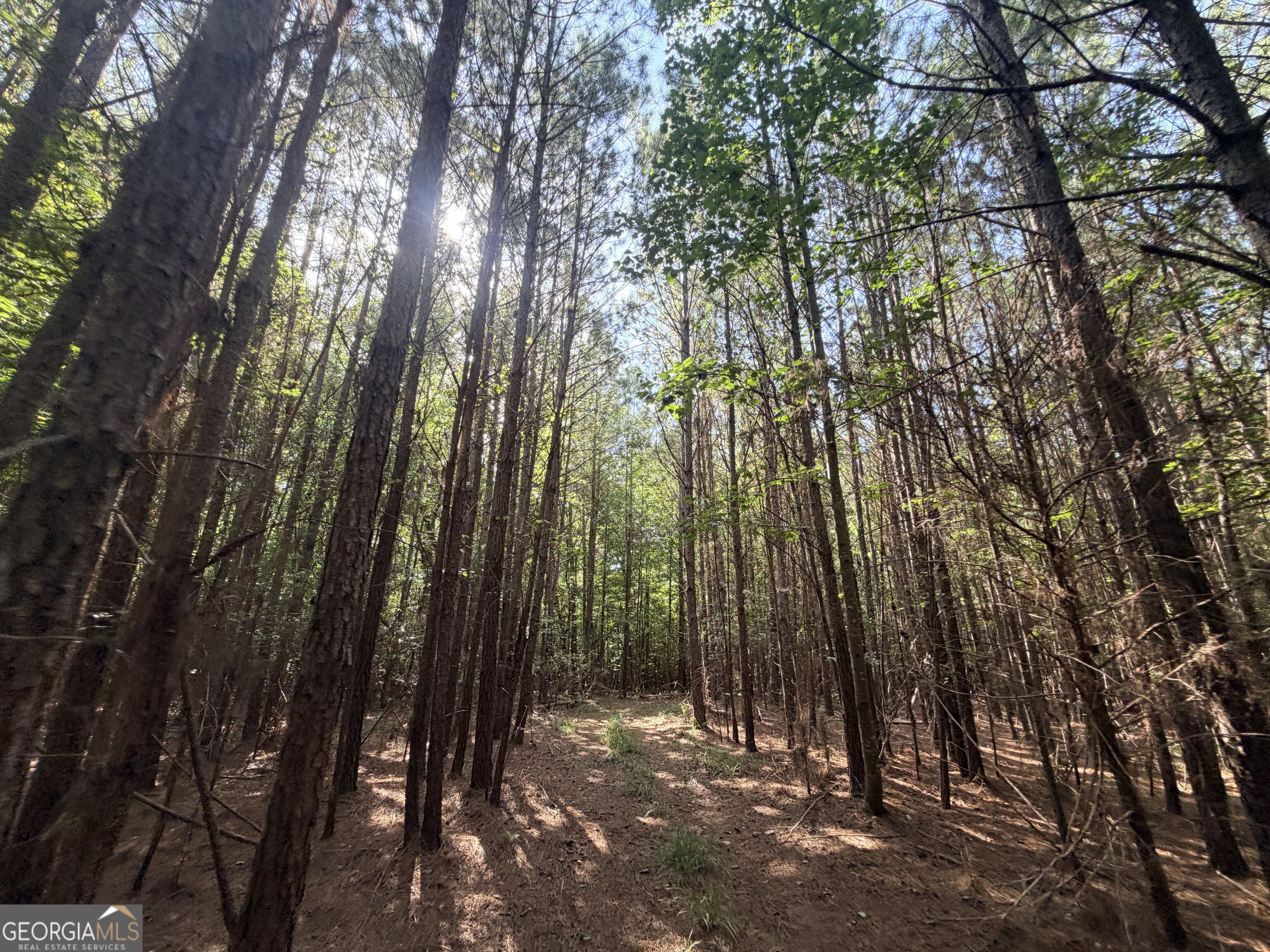 8 Bunch Road Property Photo 52