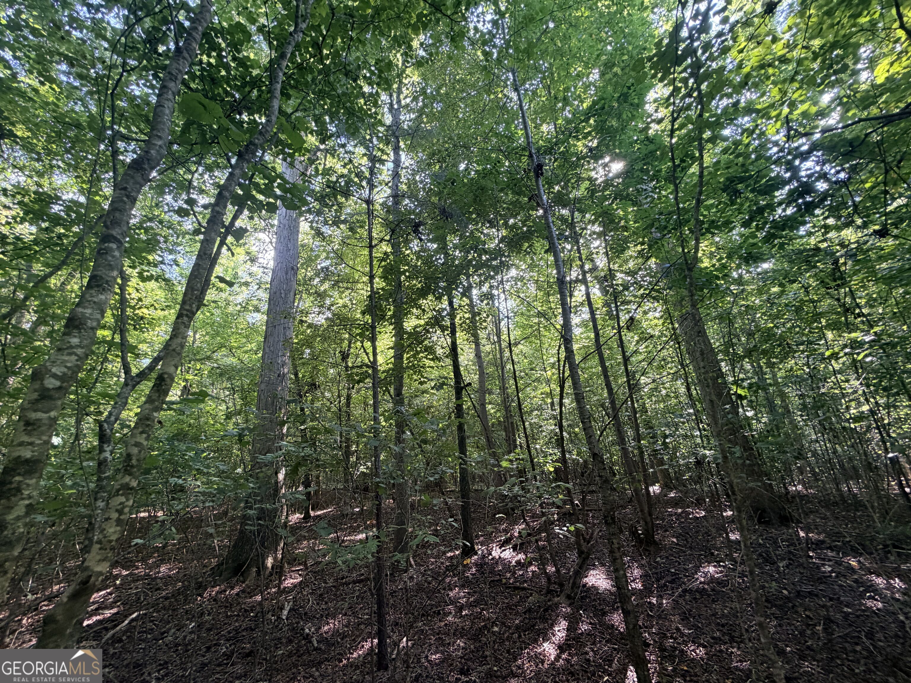 8 Bunch Road Property Photo 54