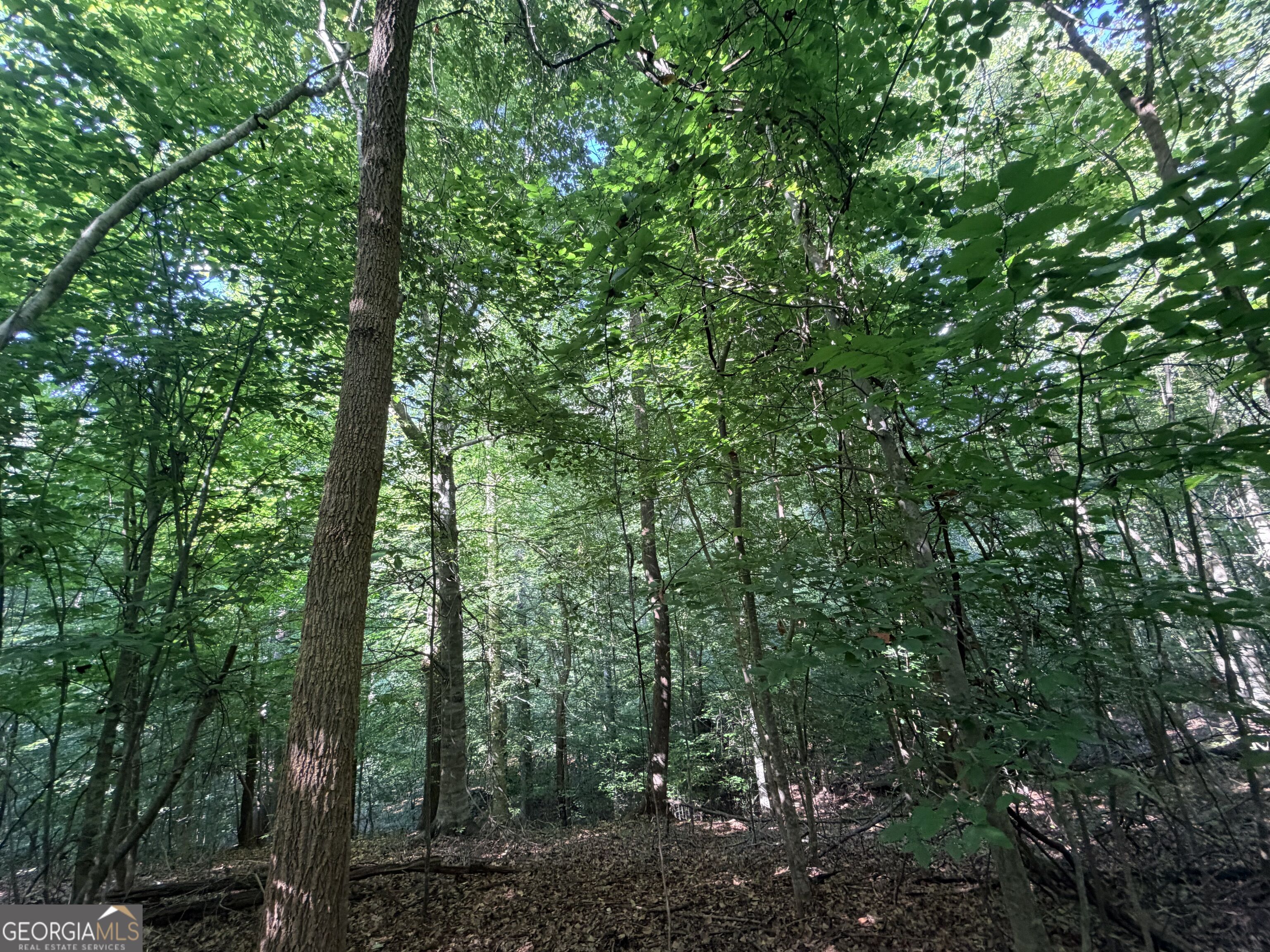 8 Bunch Road Property Photo 55
