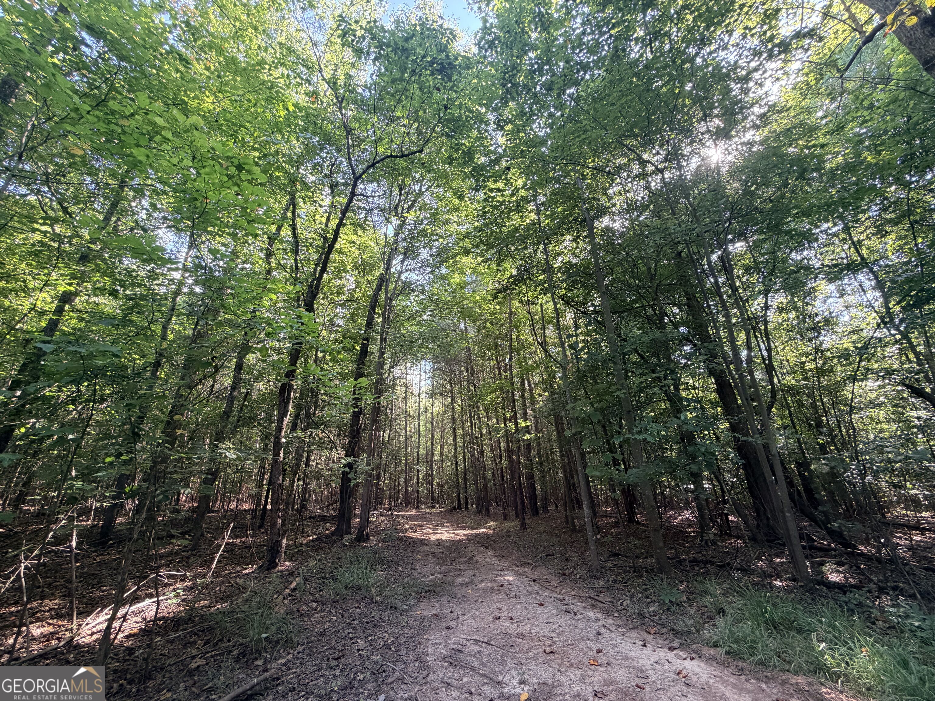 8 Bunch Road Property Photo 56