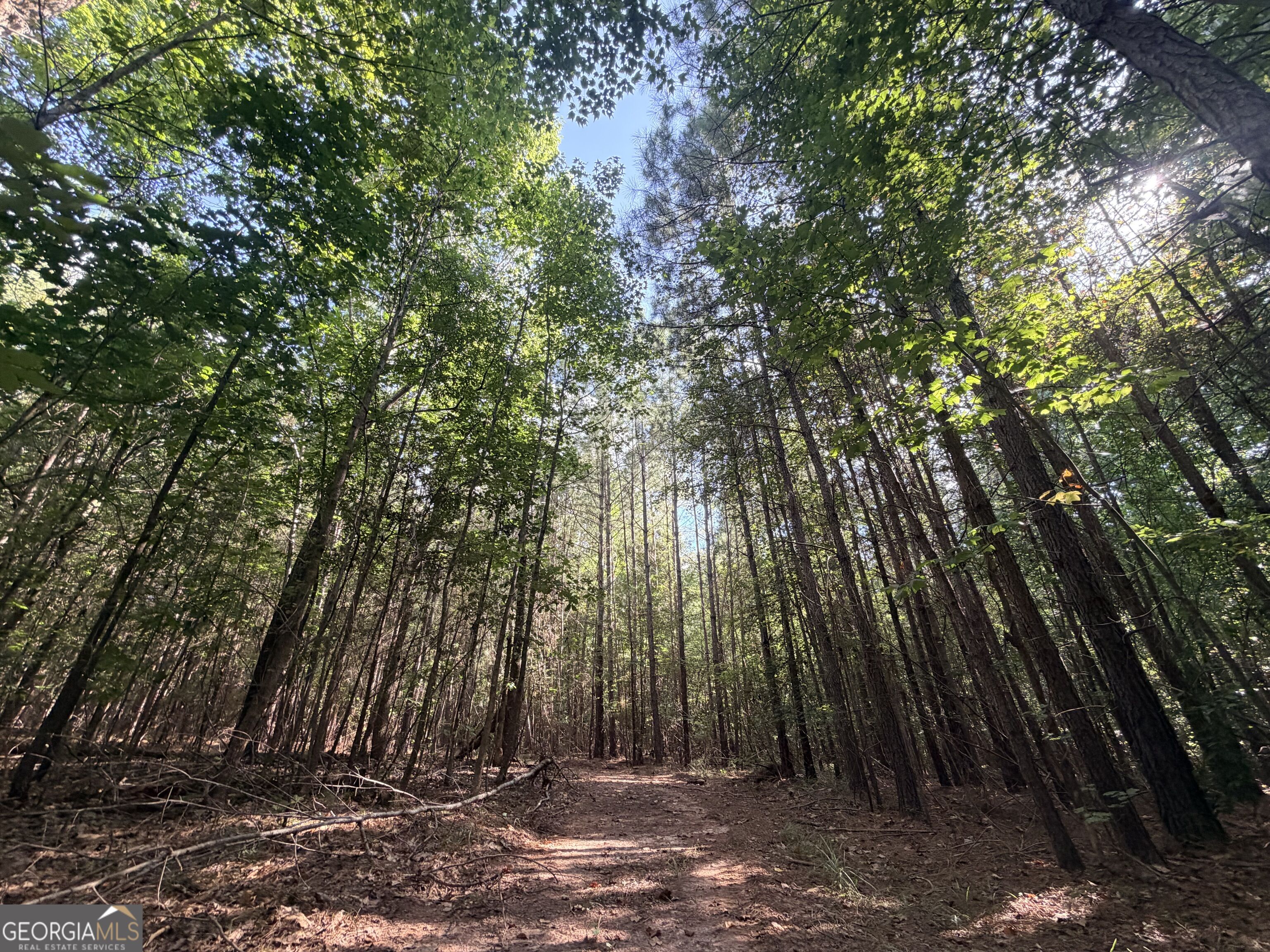 8 Bunch Road Property Photo 57