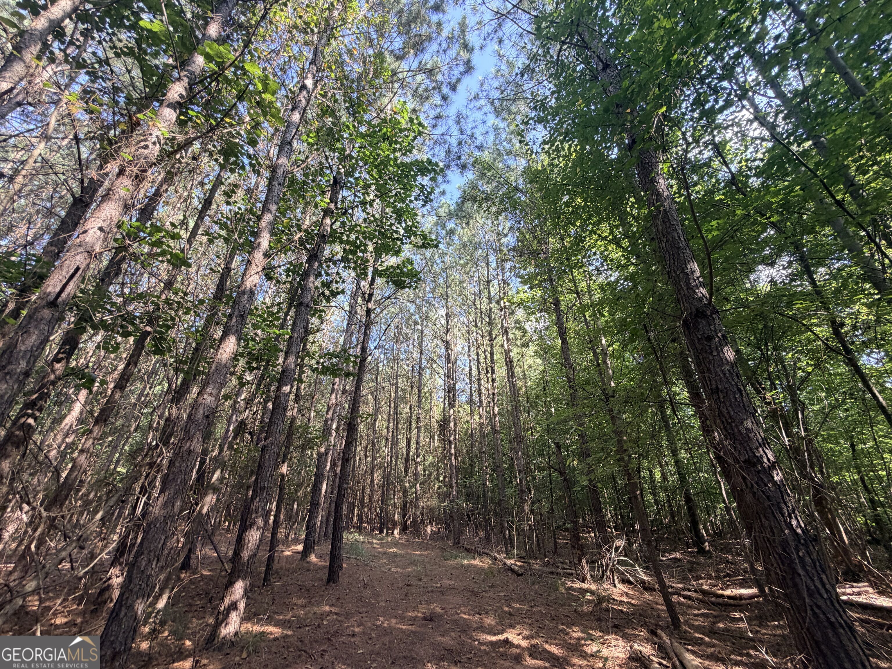 8 Bunch Road Property Photo 58