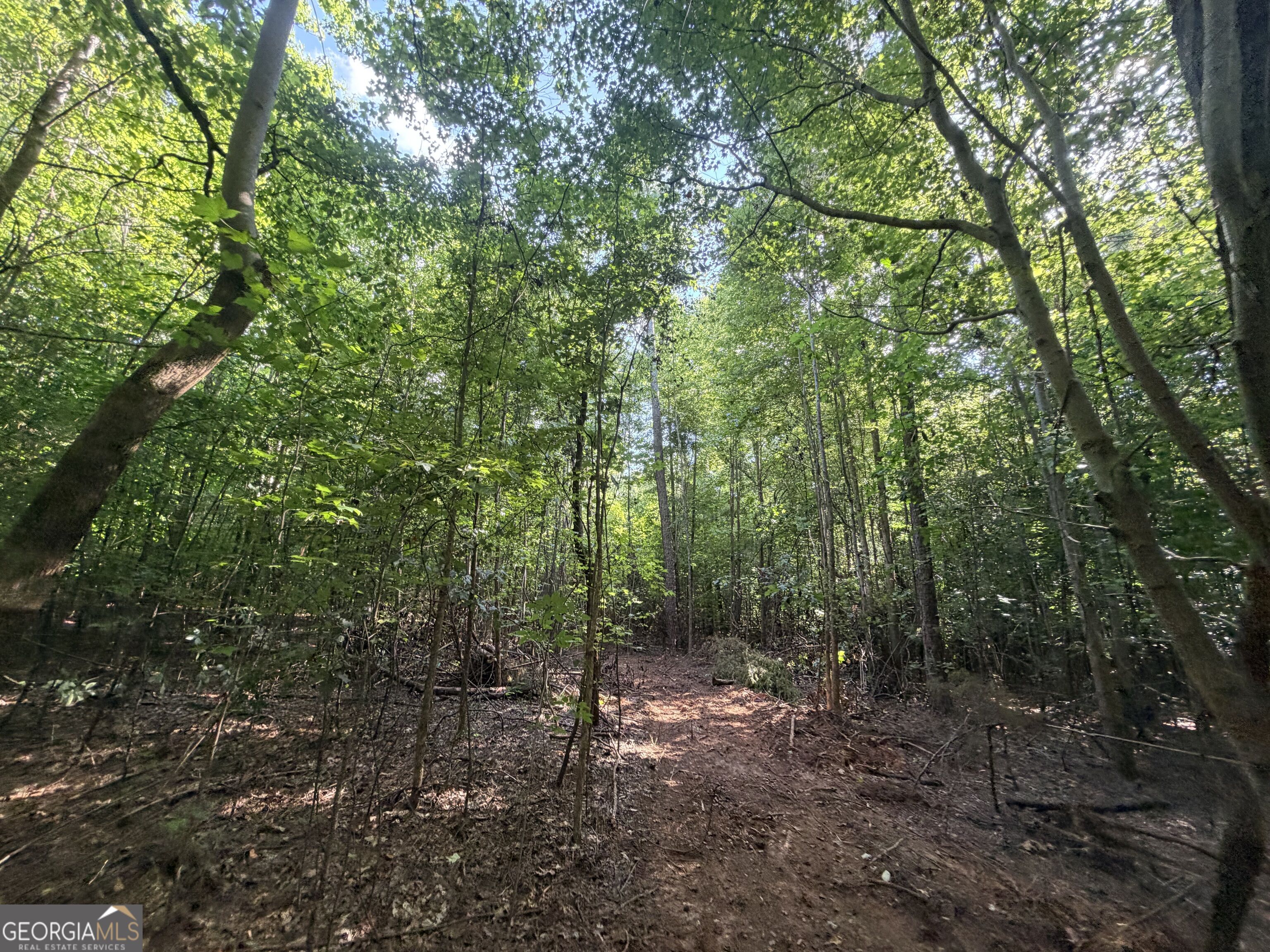 8 Bunch Road Property Photo 59