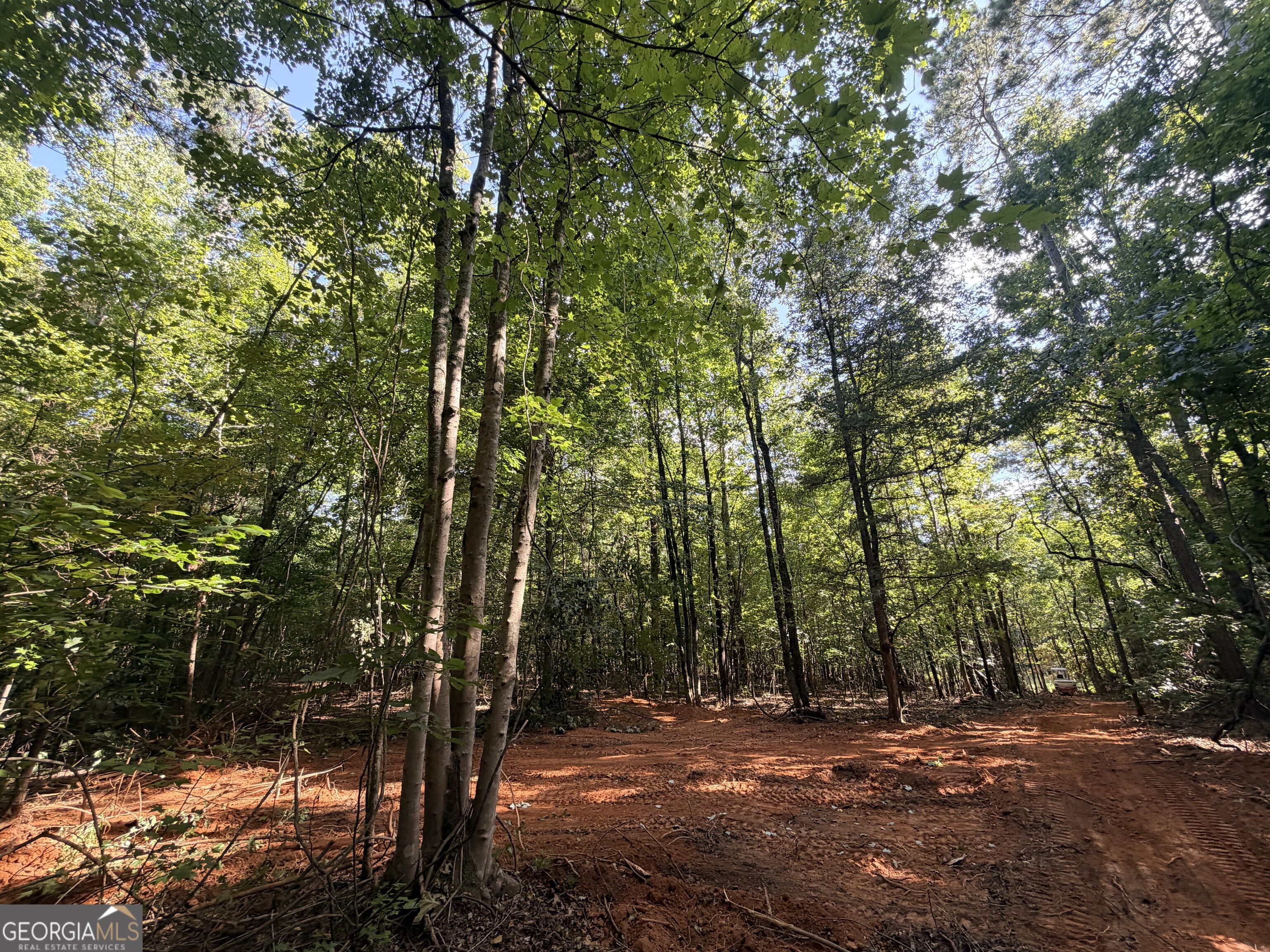 8 Bunch Road Property Photo 60