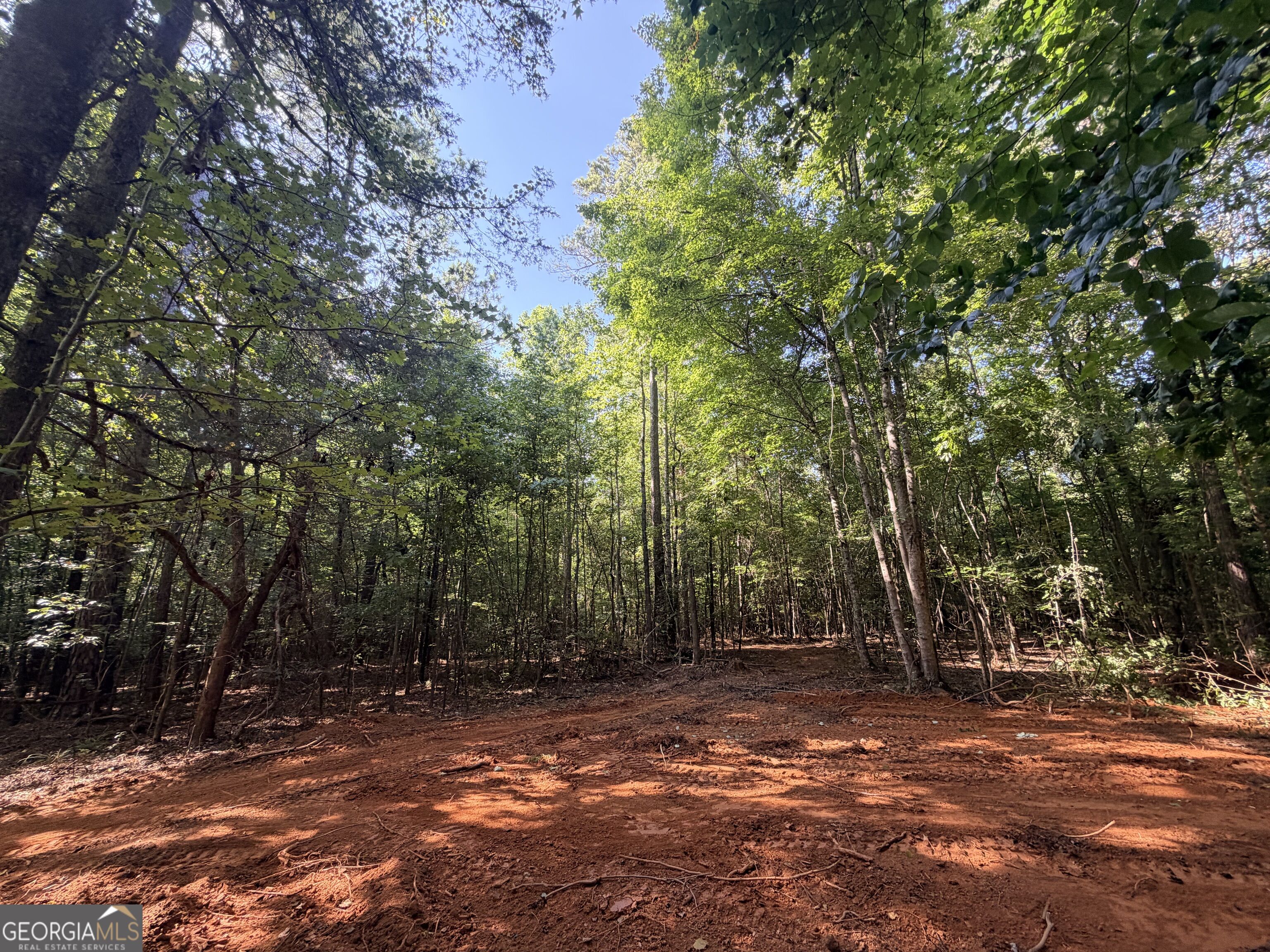 8 Bunch Road Property Photo 61