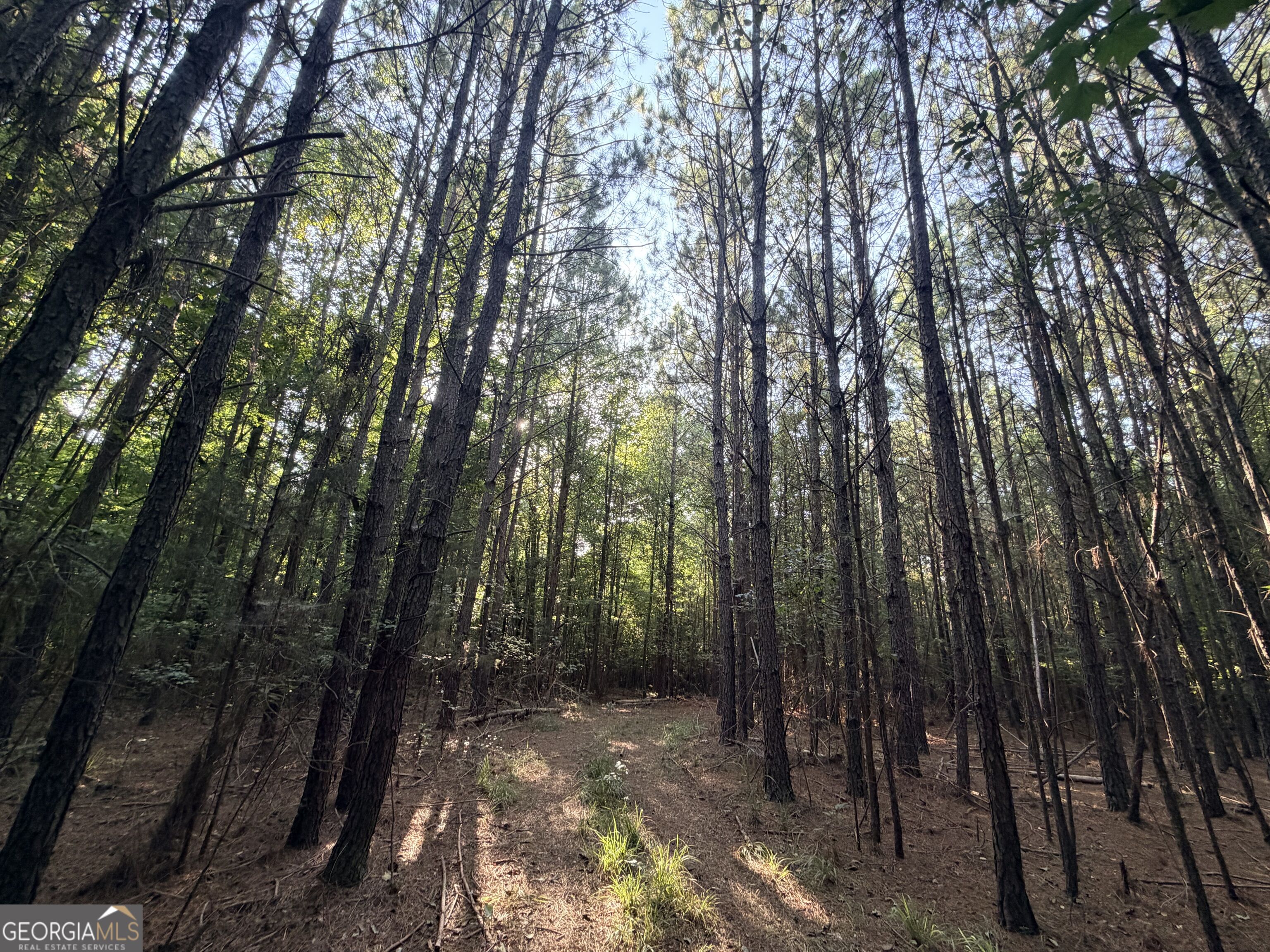 8 Bunch Road Property Photo 62