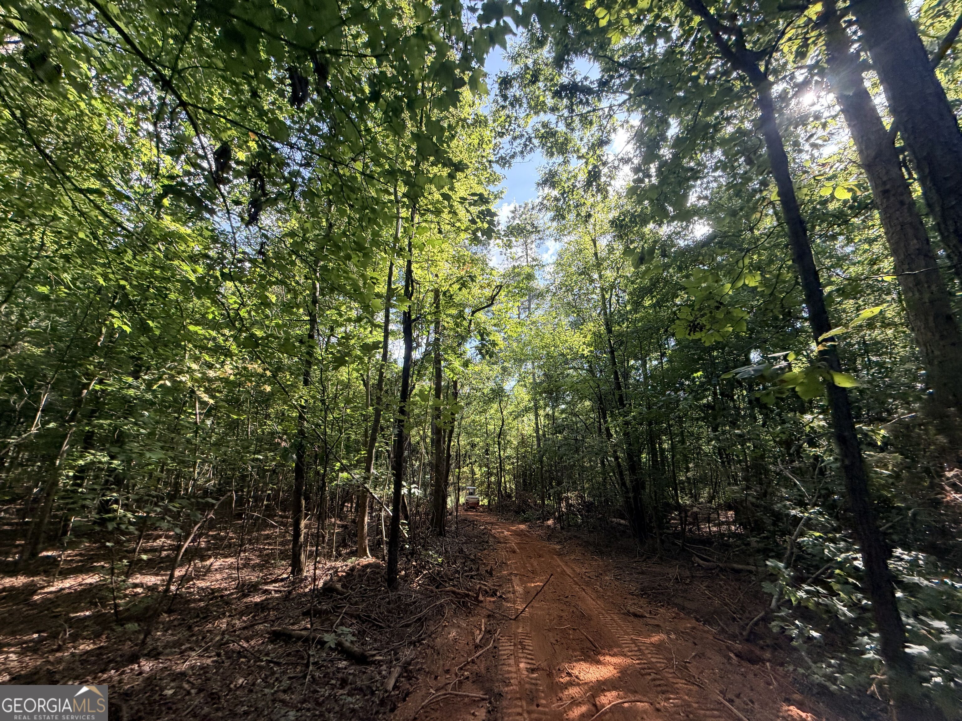 8 Bunch Road Property Photo 63