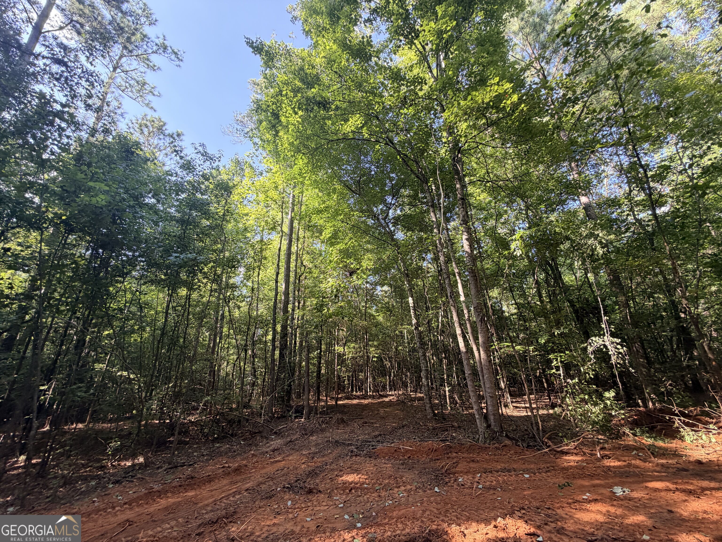 8 Bunch Road Property Photo 64