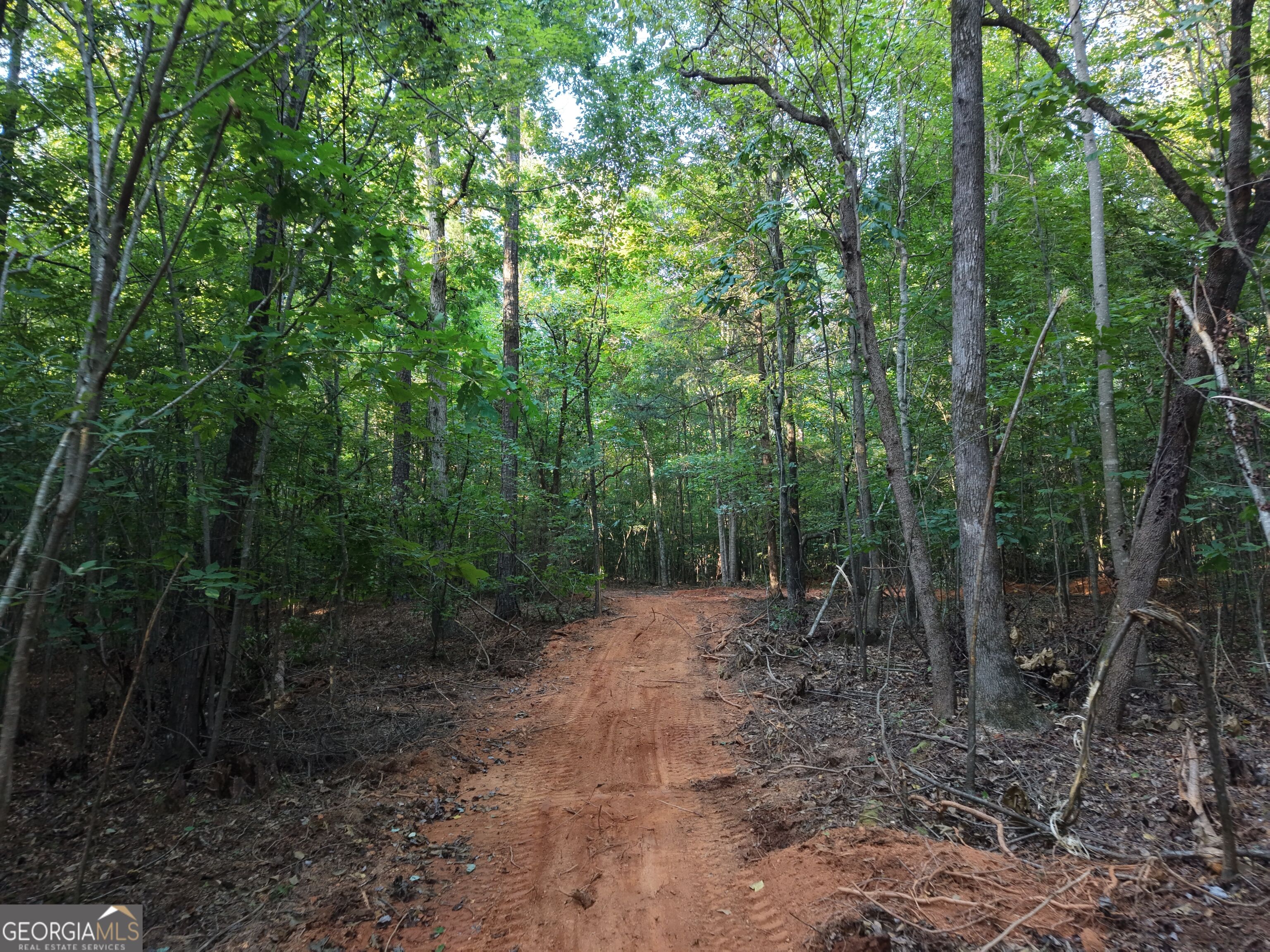 8 Bunch Road Property Photo 72