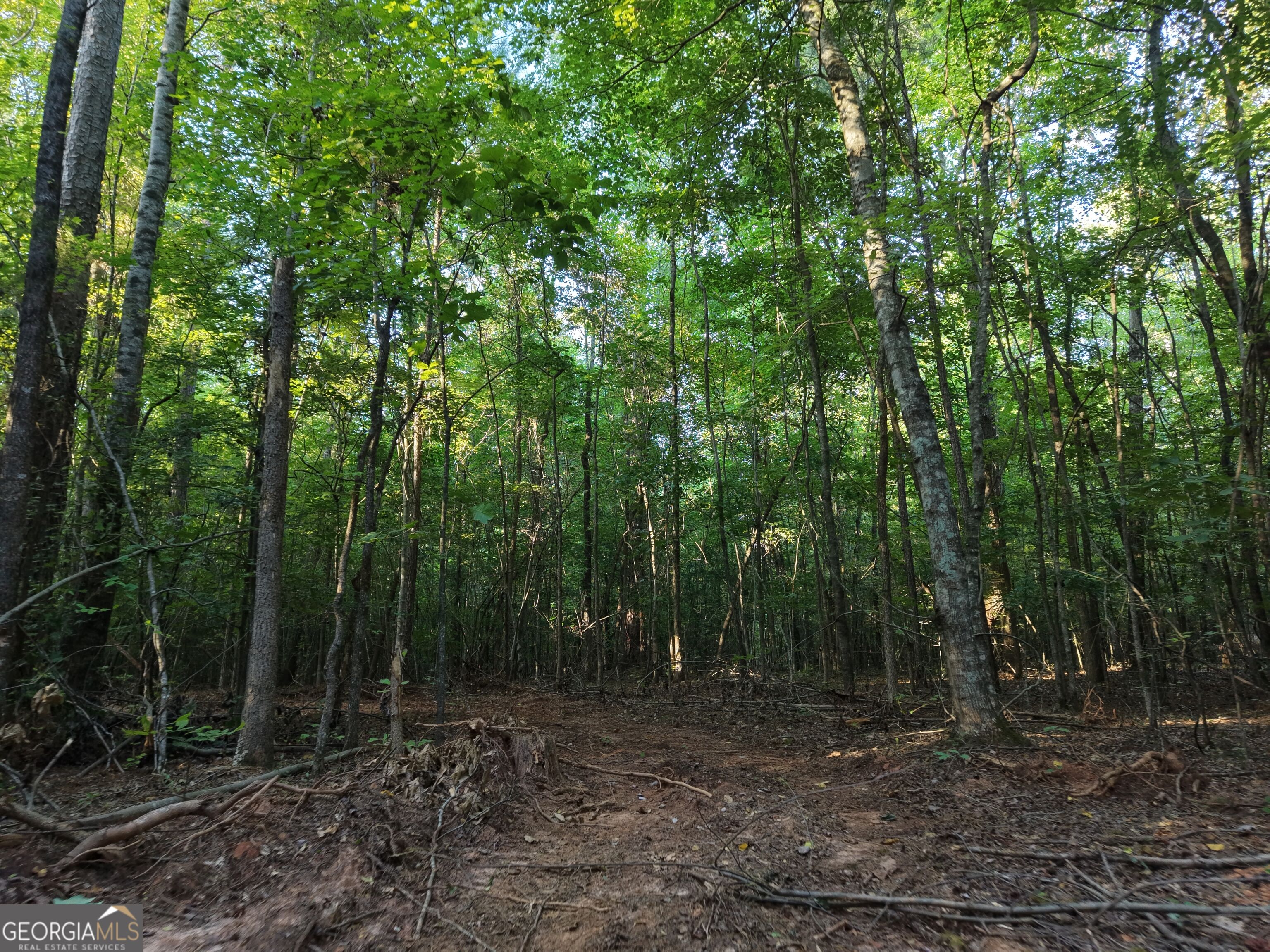 8 Bunch Road Property Photo 73
