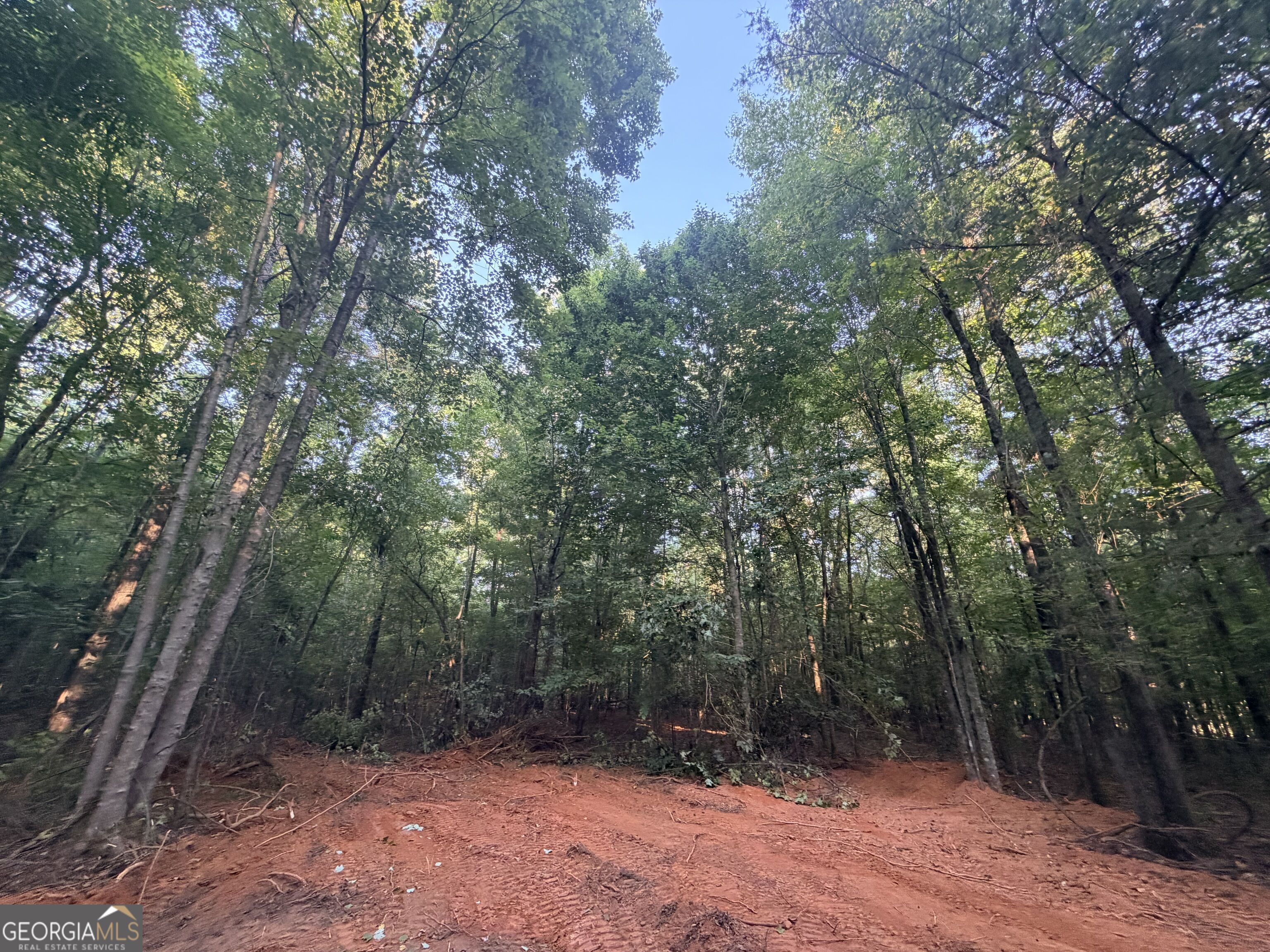 8 Bunch Road Property Photo 75
