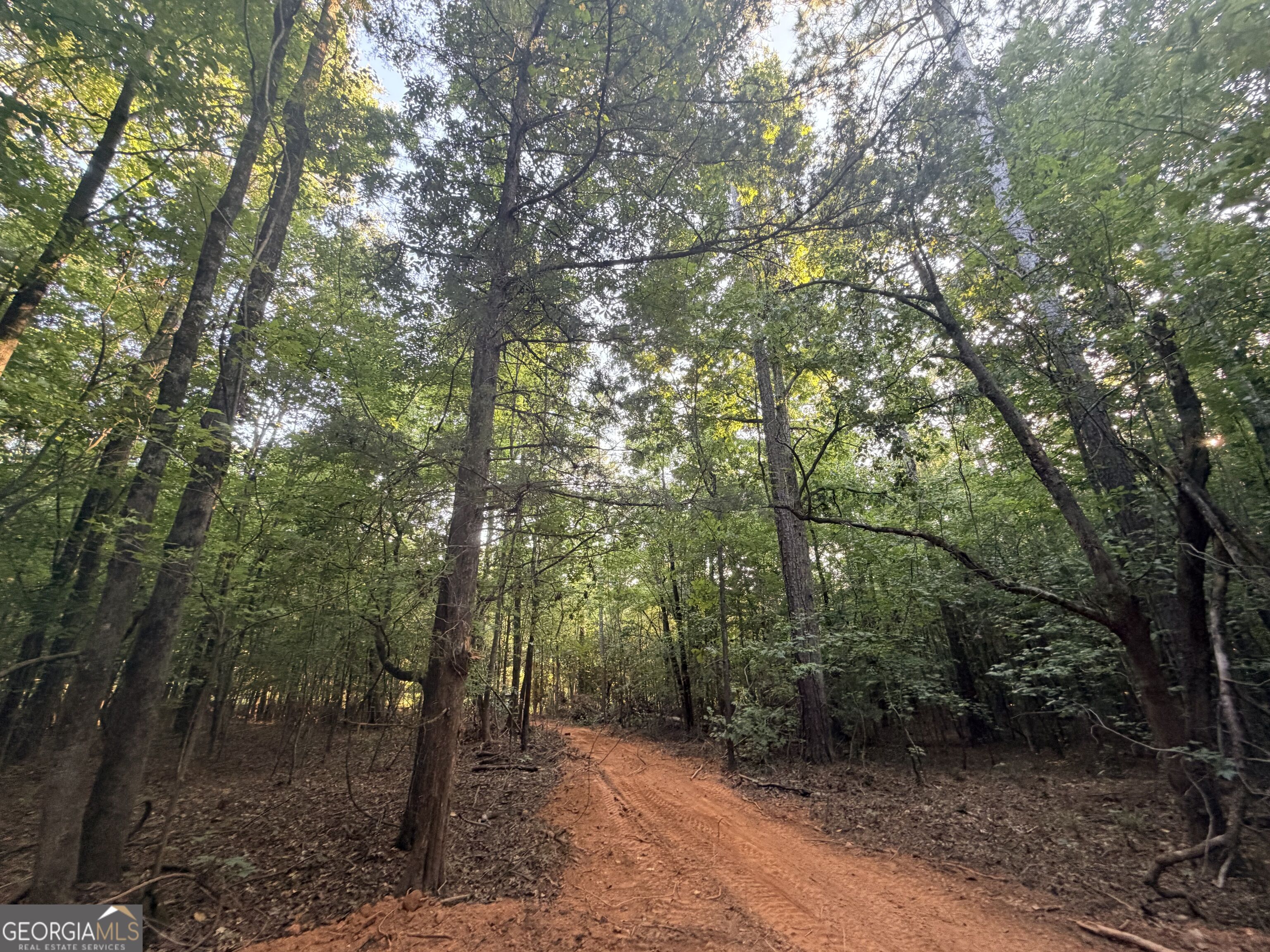 8 Bunch Road Property Photo 80
