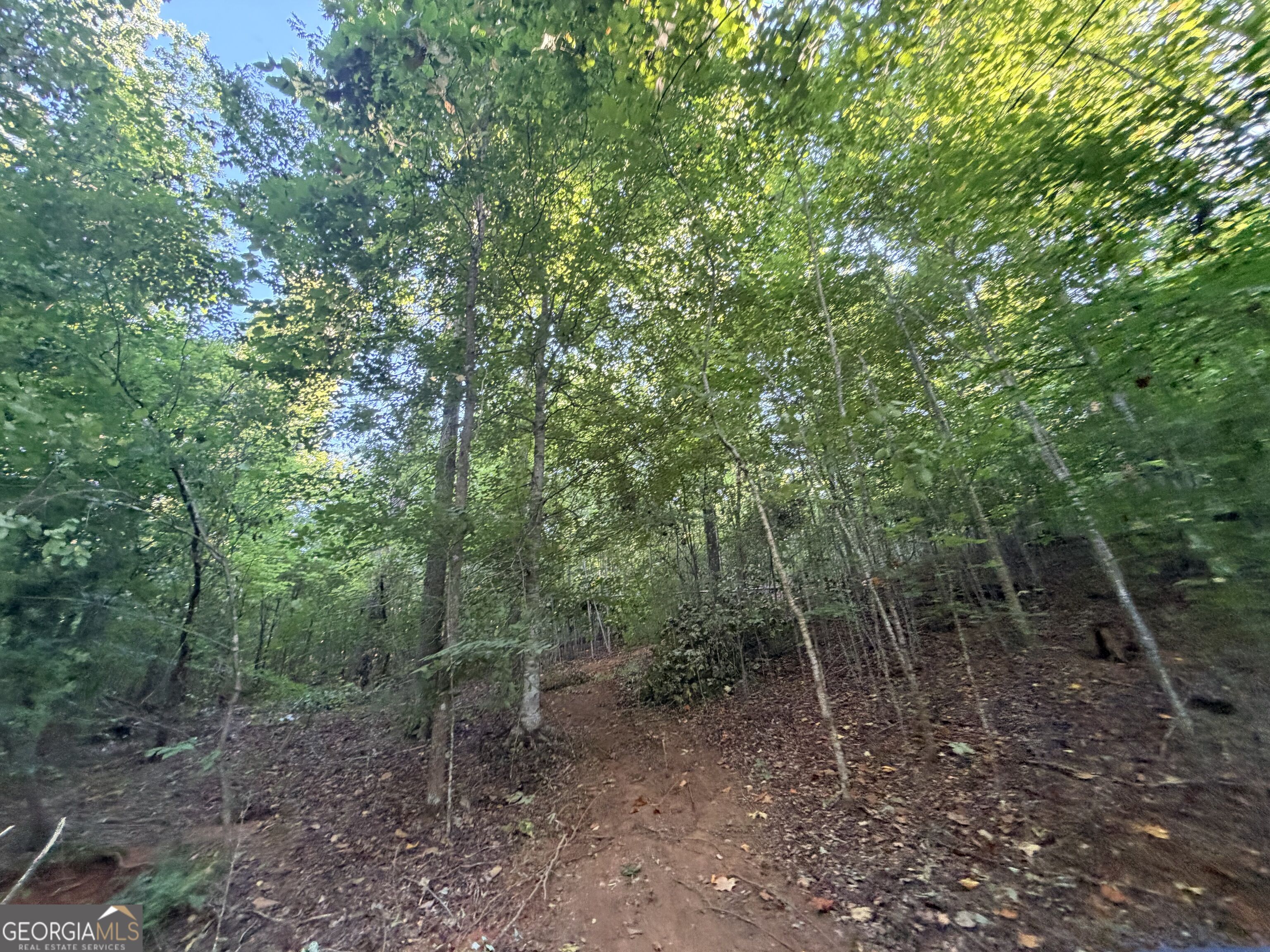 8 Bunch Road Property Photo 81