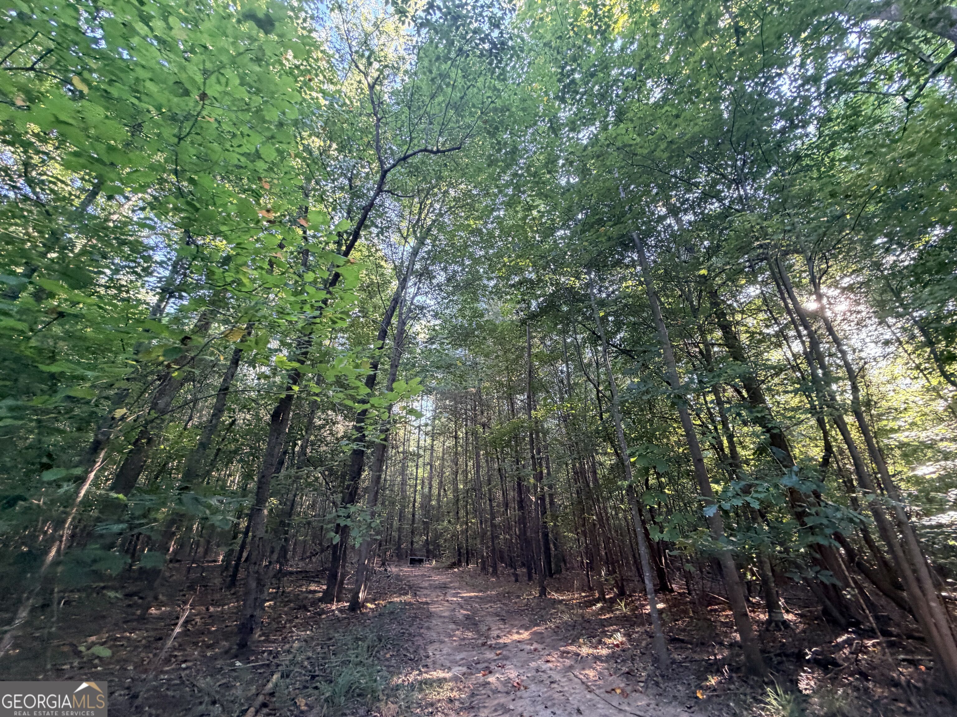 8 Bunch Road Property Photo 83