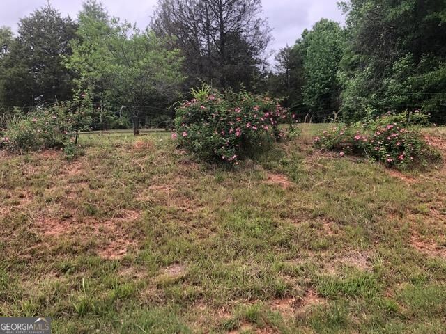 1270 &1272 Monticello Road Property Photo 24