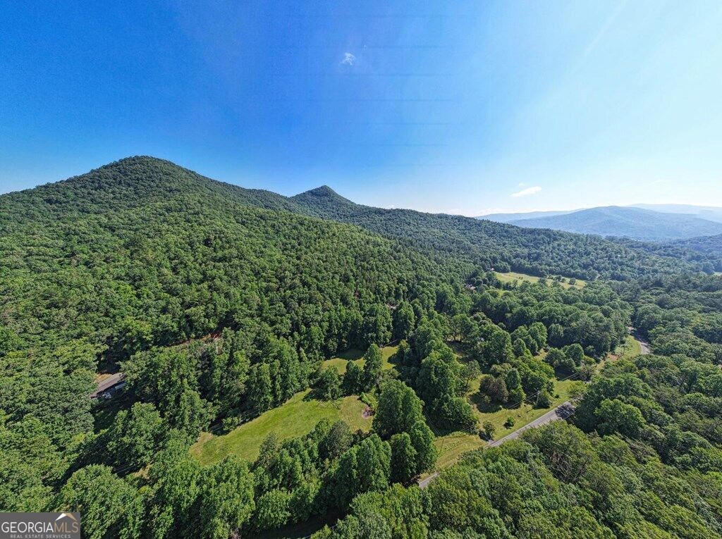 605 Owl Creek Road Property Photo 46