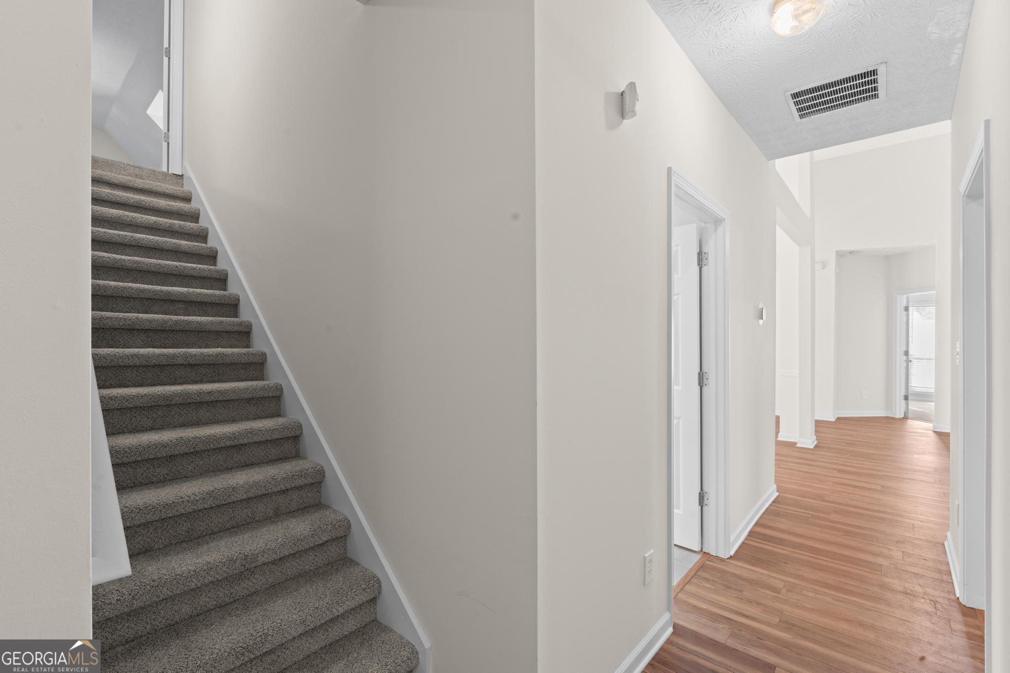 157 Talon Place Property Photo 30