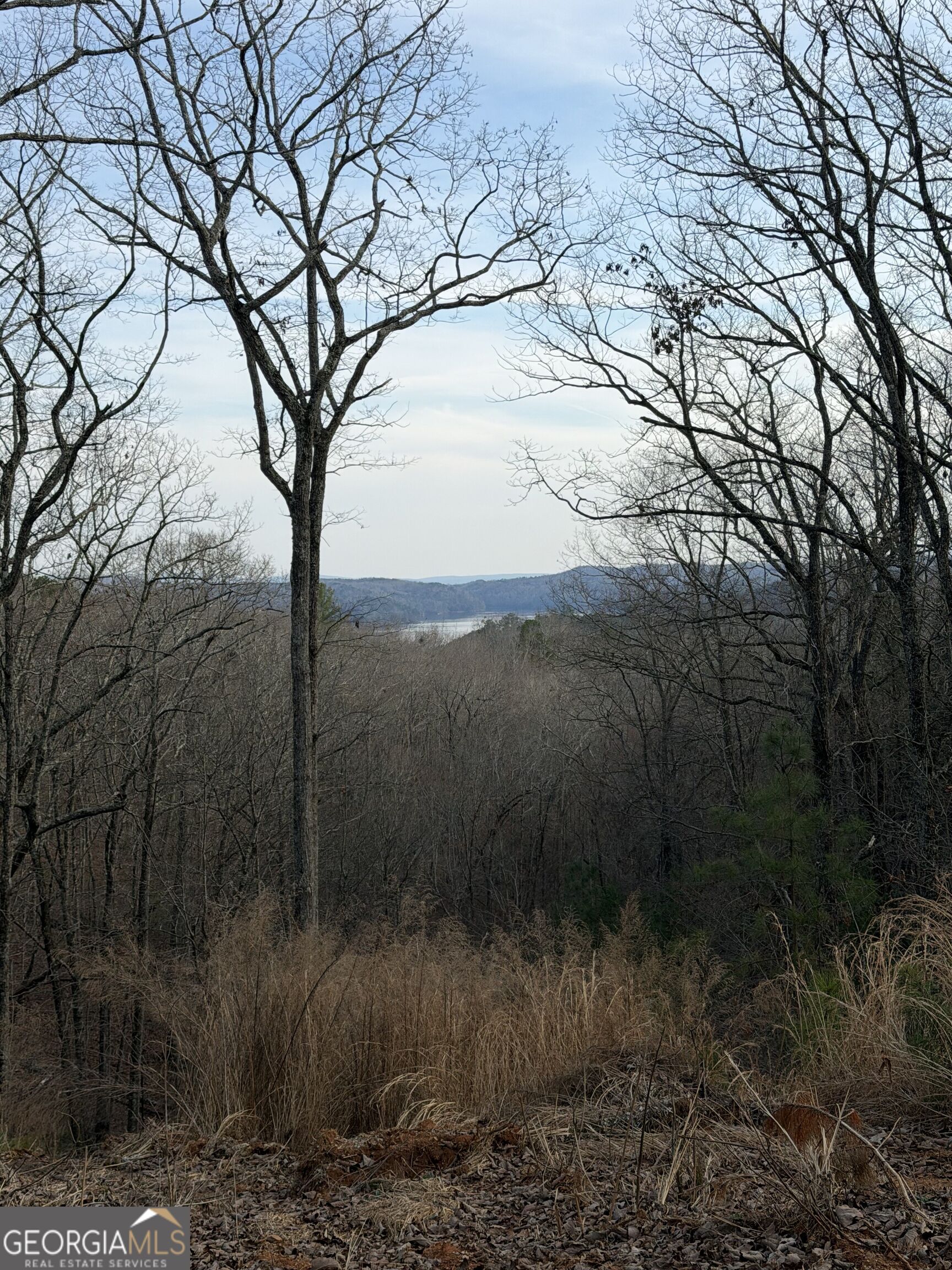 439 Buck Creek Road Property Photo 1