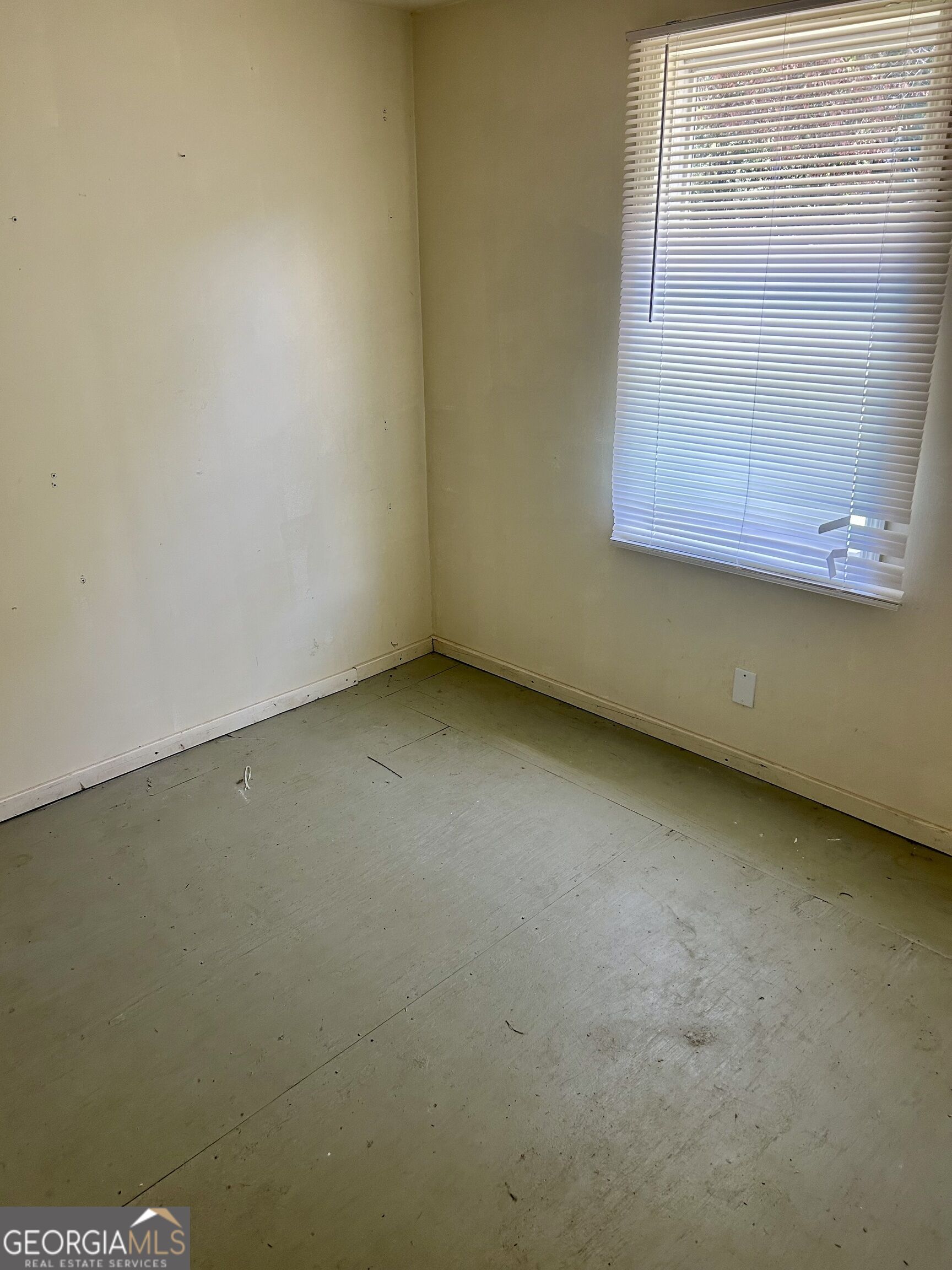 2415 Ga 300 Highway Property Photo 11
