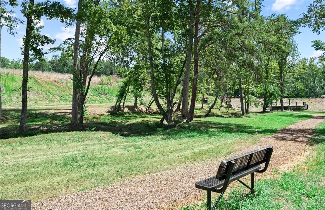 1674 Branch Creek Dr-lot 111 Property Photo 17