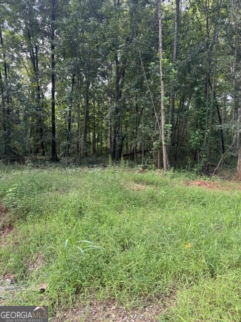 Lot #6 Rita Ridge Property Photo 3