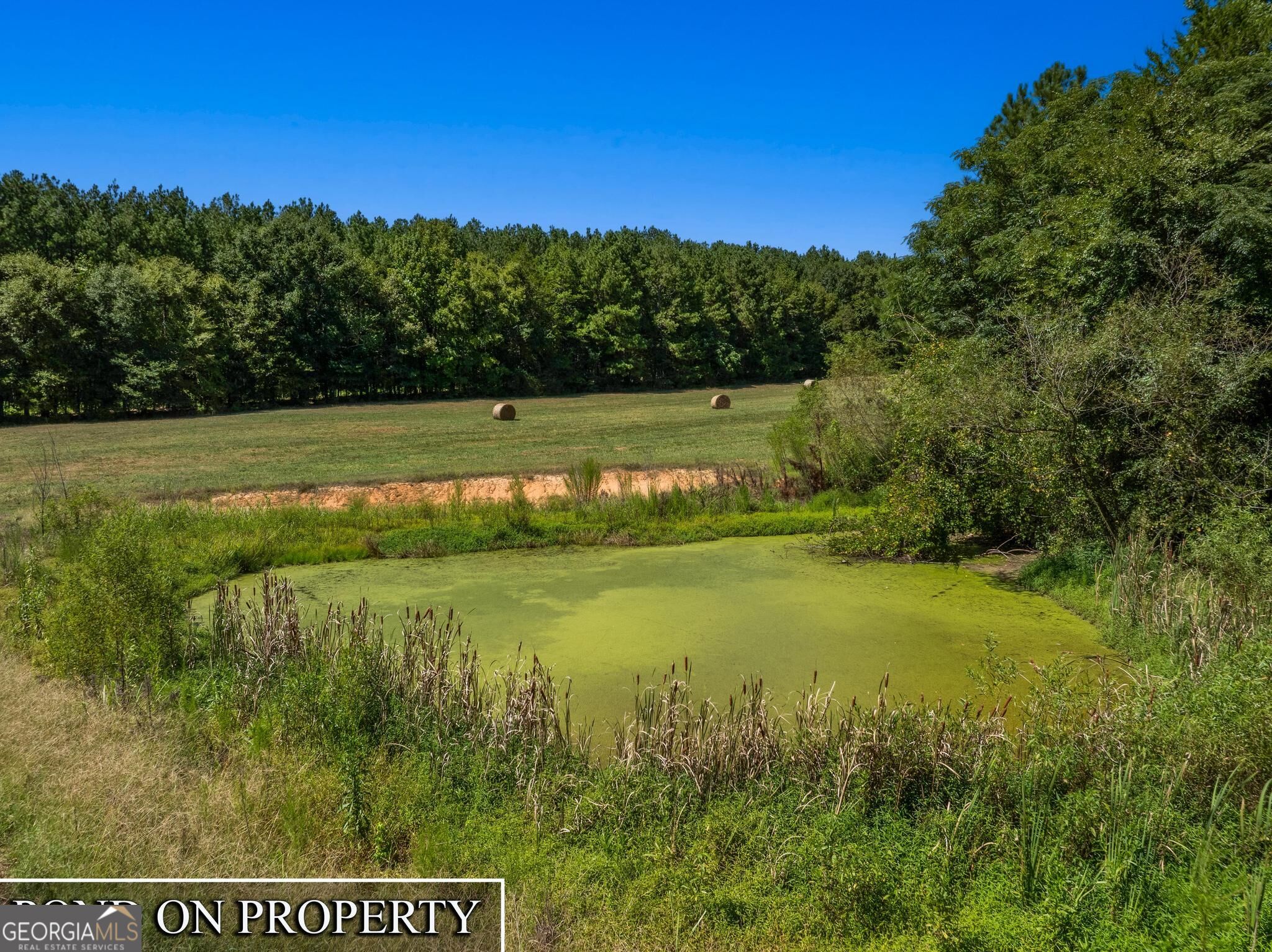2344 Allen White Rd Property Photo 37